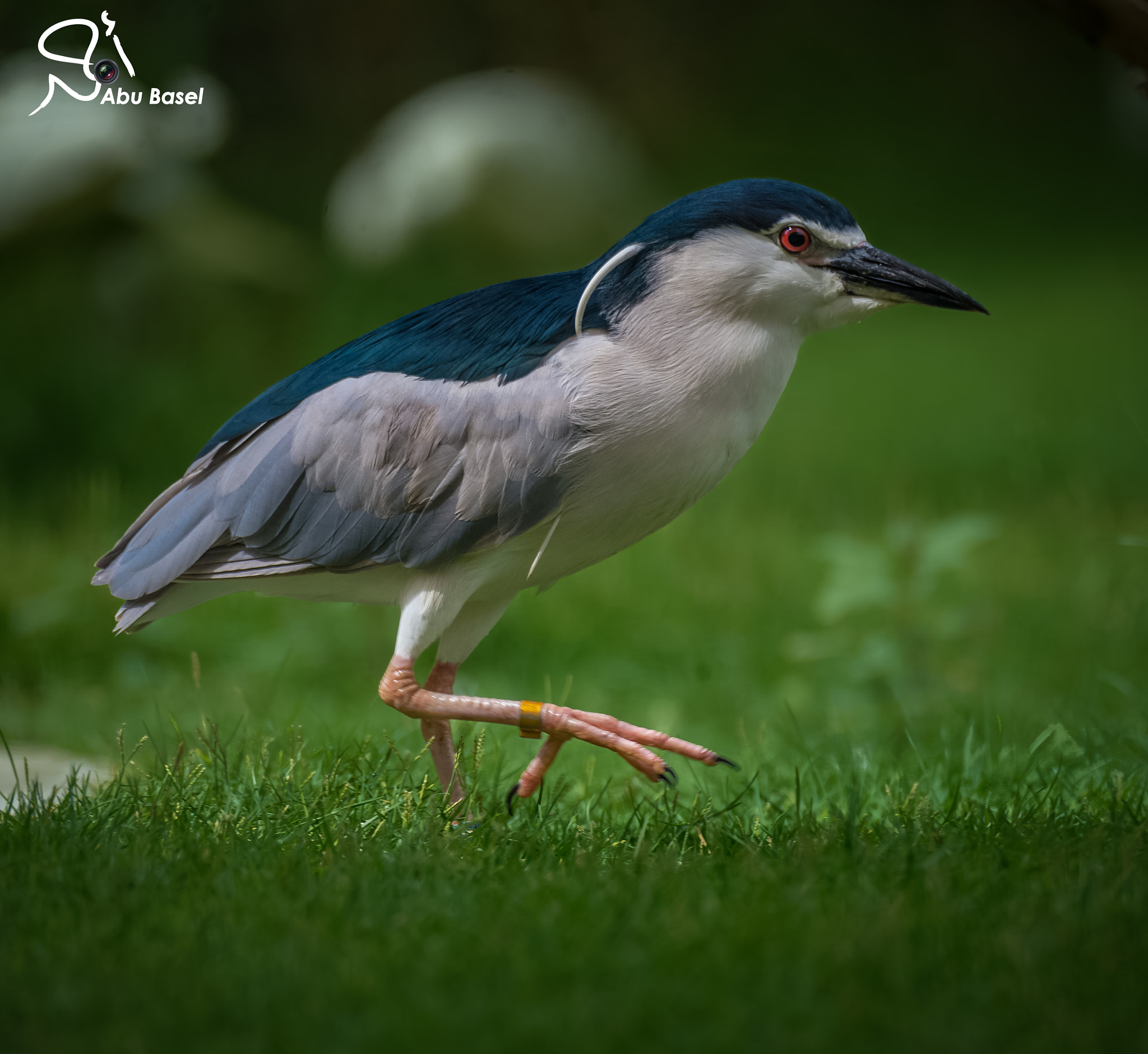 Sigma 150-600mm F5-6.3 DG OS HSM | S sample photo