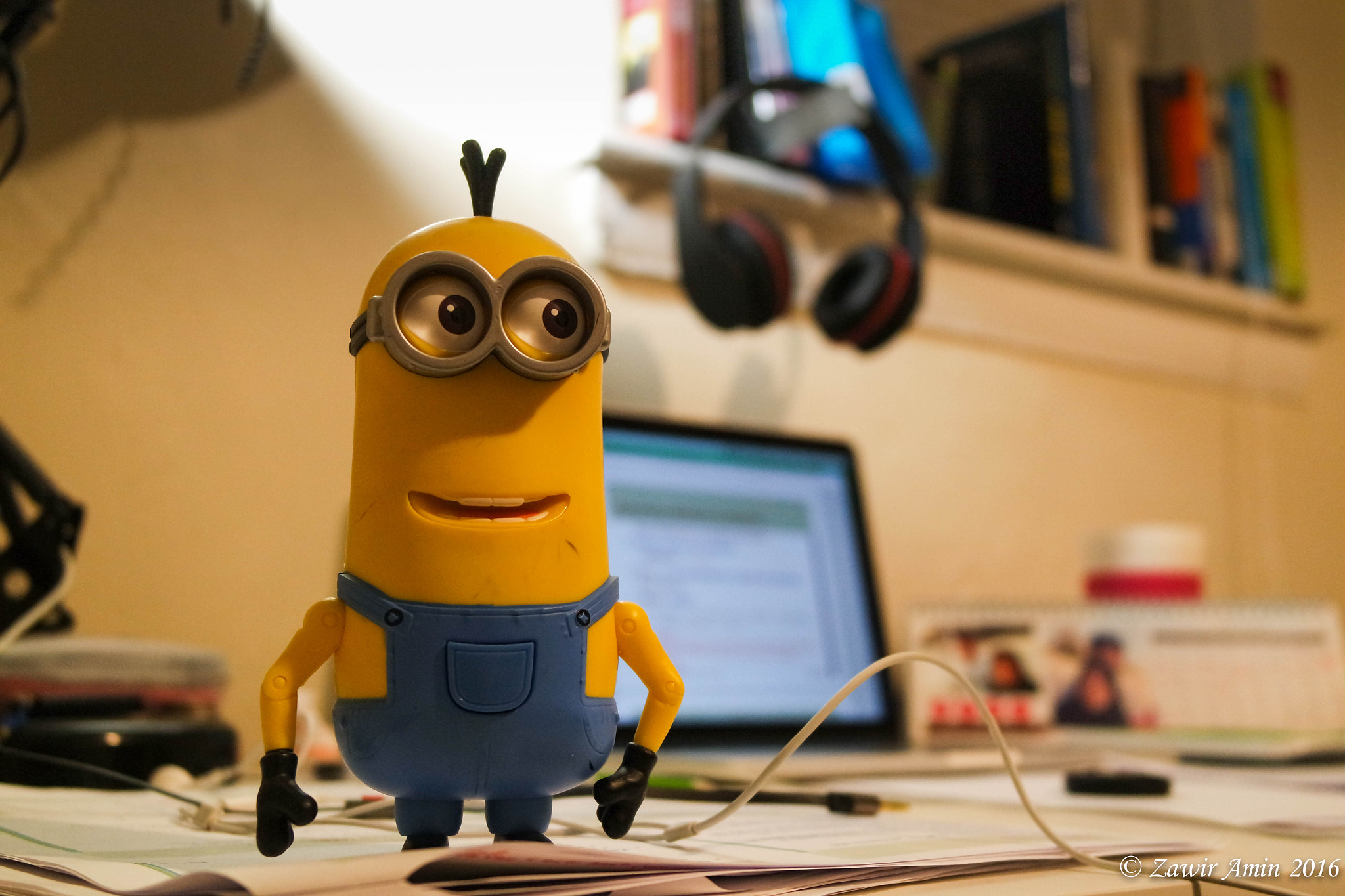 NX 20-50mm F3.5-5.6 sample photo. Minion! photography