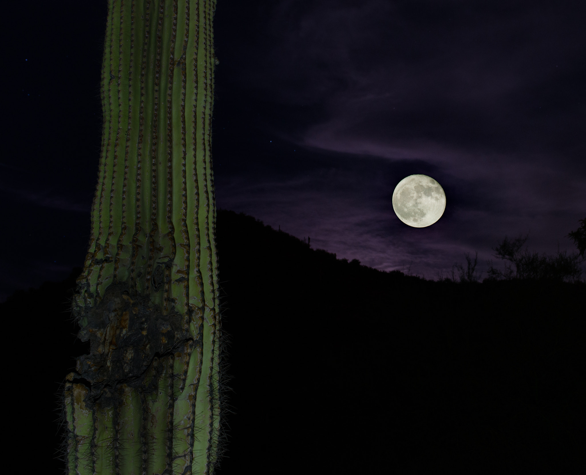 Nikon AF-S Nikkor 28-70mm F2.8 ED-IF sample photo. Desert hunter moon photography
