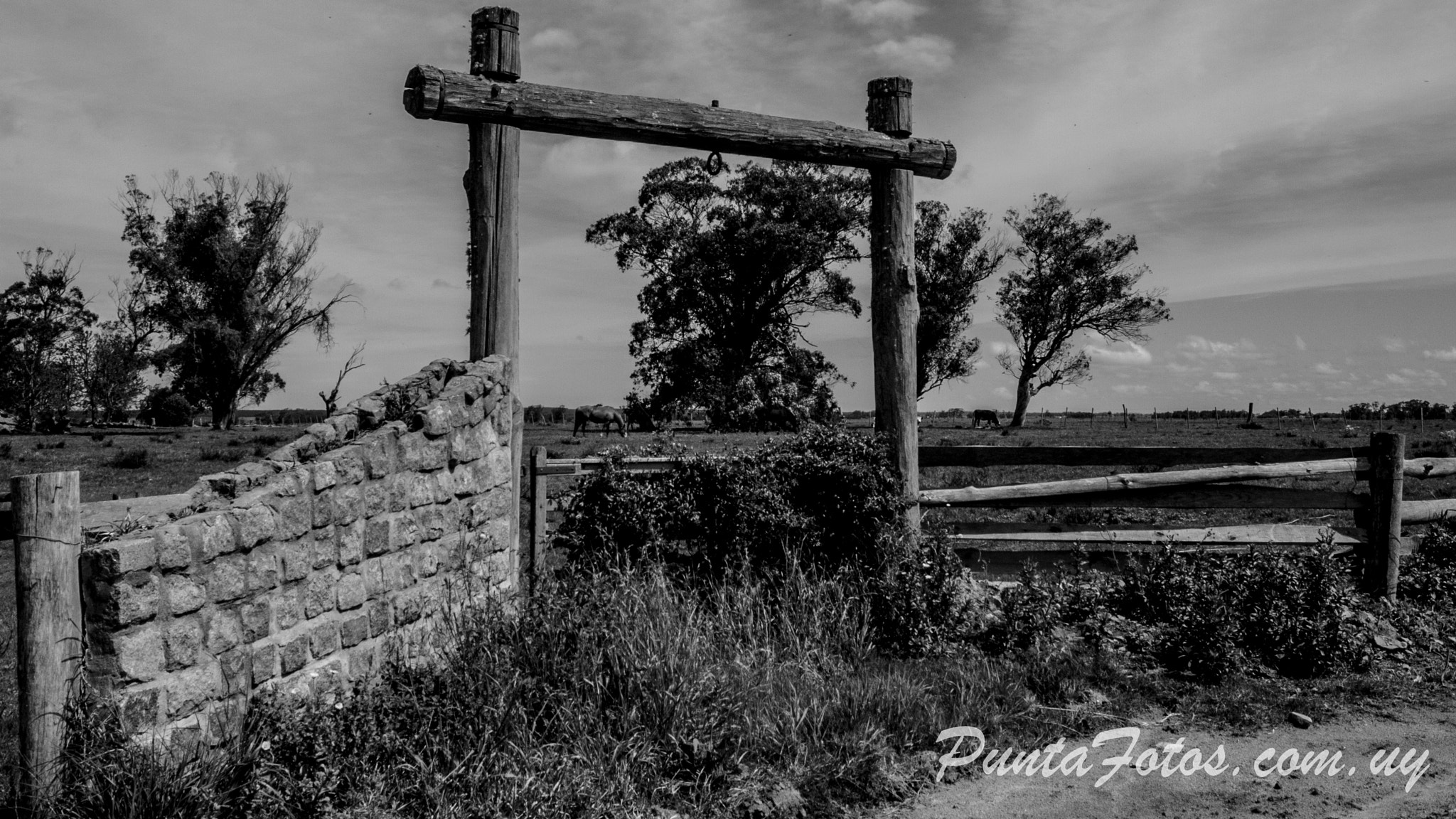Sigma 10-20mm F4-5.6 EX DC HSM sample photo. Gate field valizas, rocha, uruguay photography