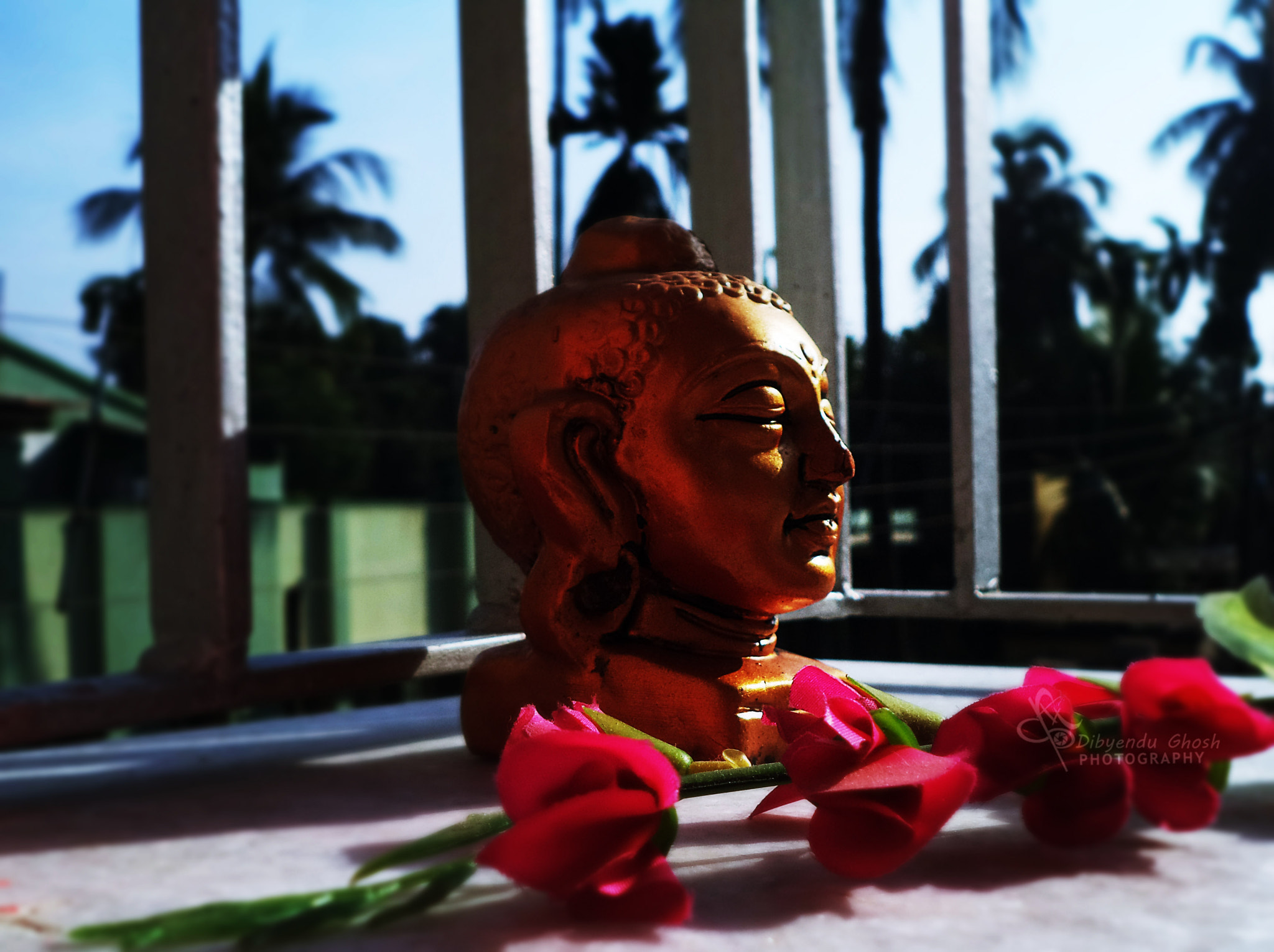 Sony Cyber-shot DSC-W710 sample photo. || golden buddha || photography