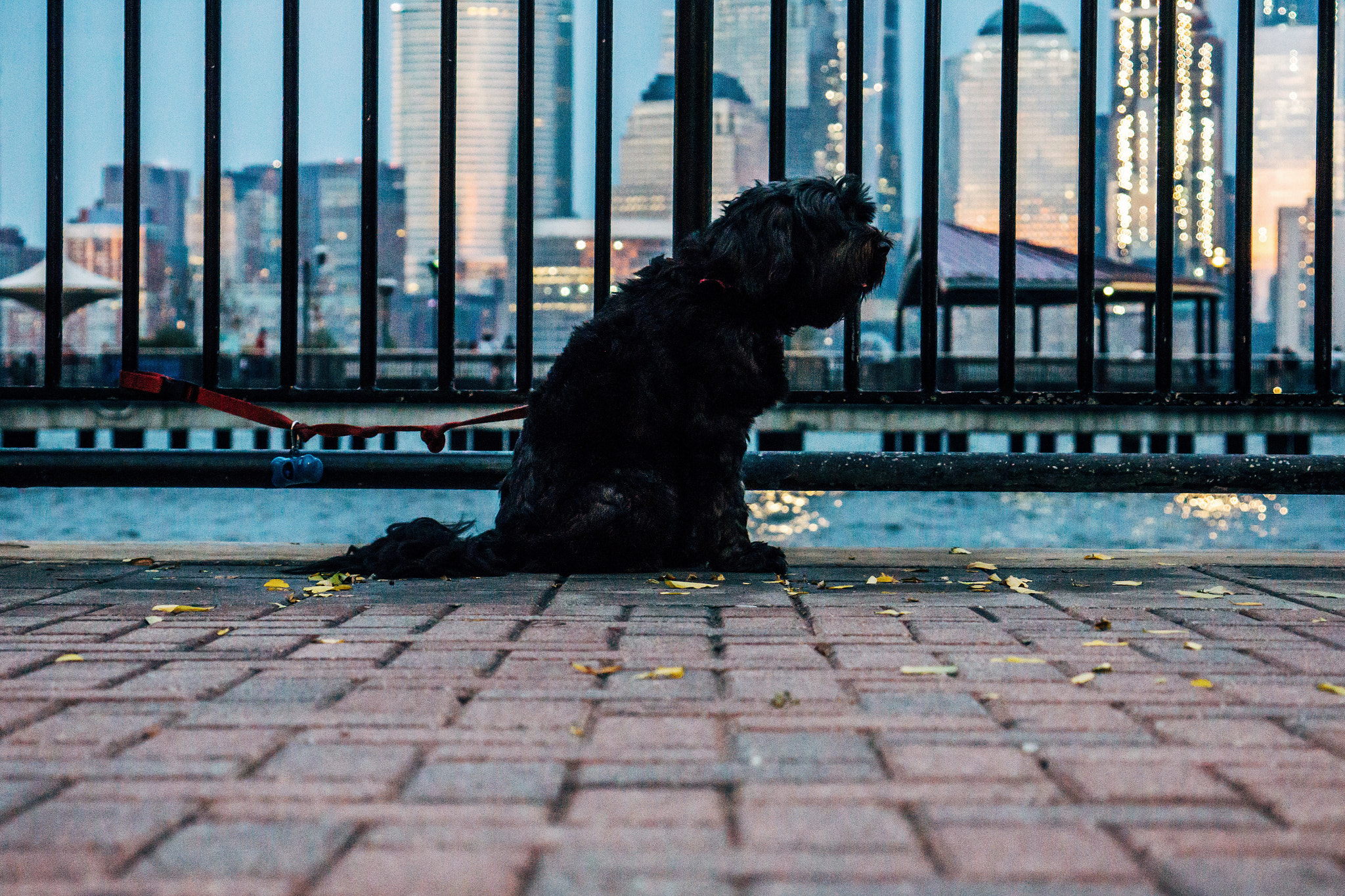 Sony a6000 + Sony Vario Tessar T* FE 24-70mm F4 ZA OSS sample photo. Hank photography