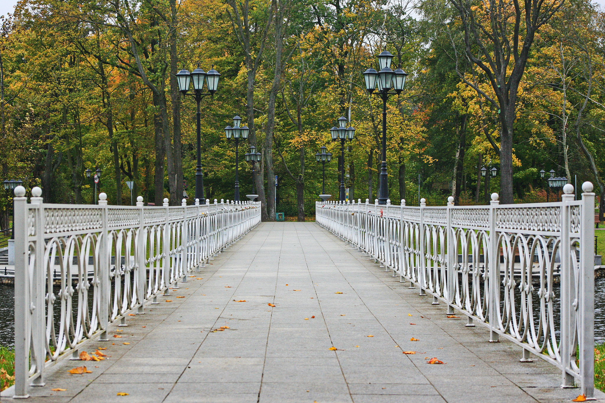 Canon EOS-1Ds Mark III sample photo. Autumn bridge photography