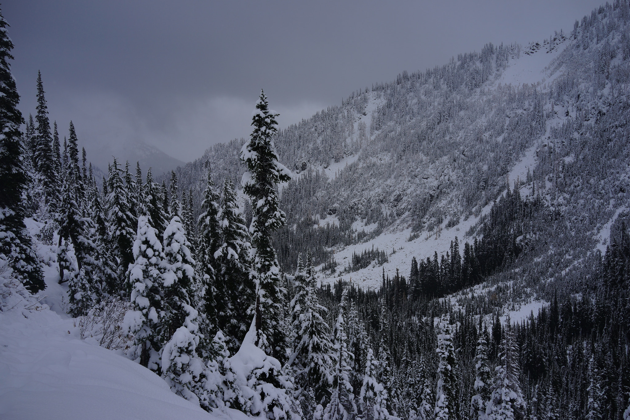Sony Cyber-shot DSC-RX1R + Sony 35mm F2.0 sample photo. Winter storm photography