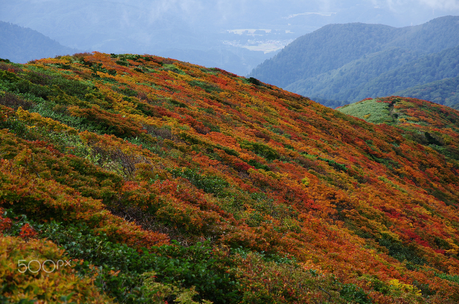 Pentax K-5 sample photo. Imgr photography