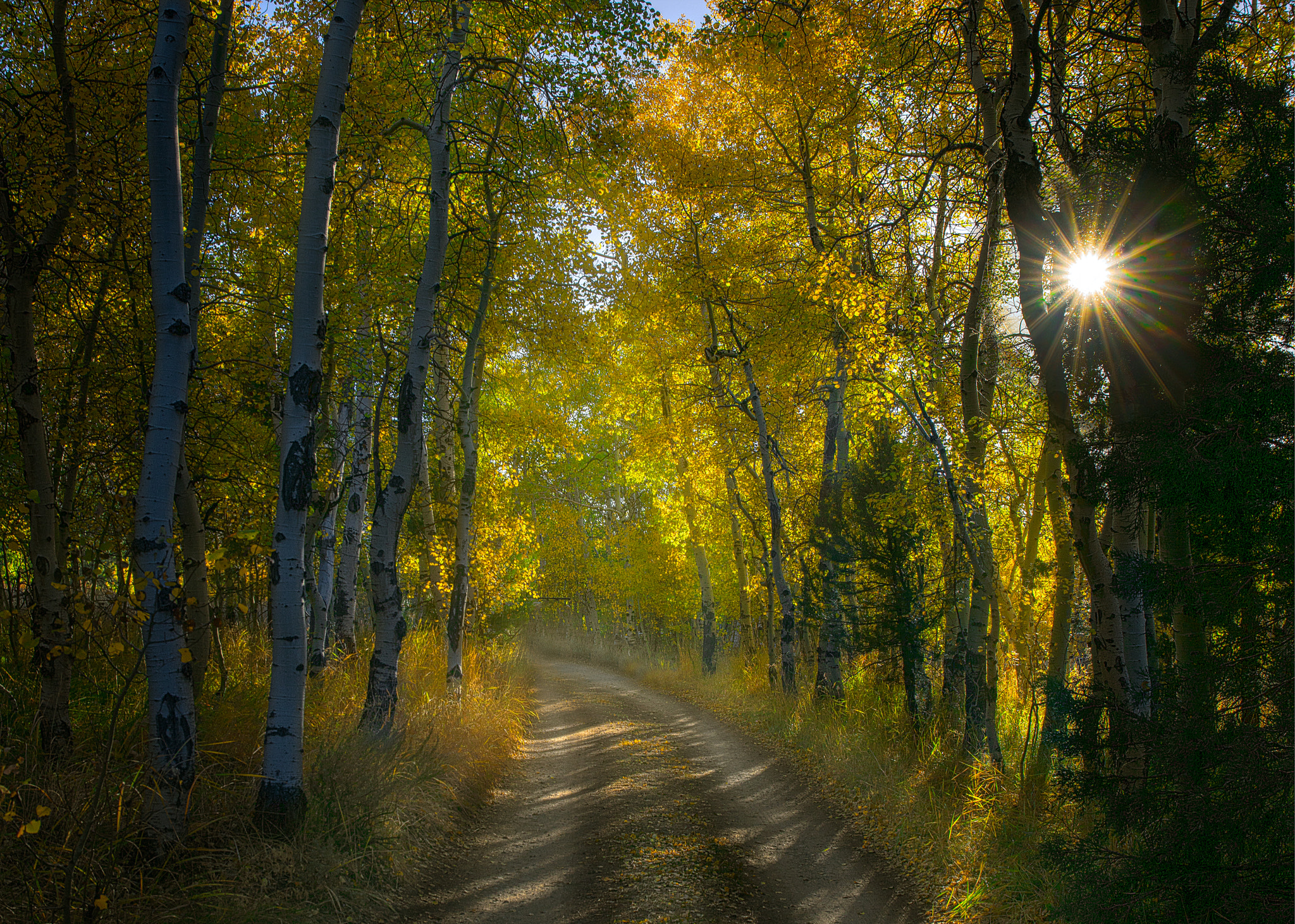 Sony a7R II + Canon EF 24-70mm F4L IS USM sample photo. Going somewhere photography