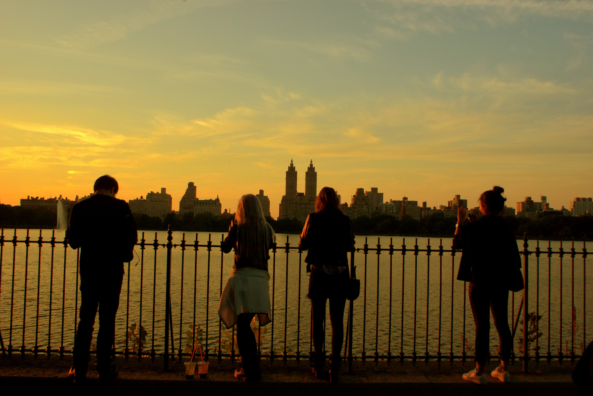 Sony SLT-A65 (SLT-A65V) + Sony 20mm F2.8 sample photo. Silhouettes and sunset photography