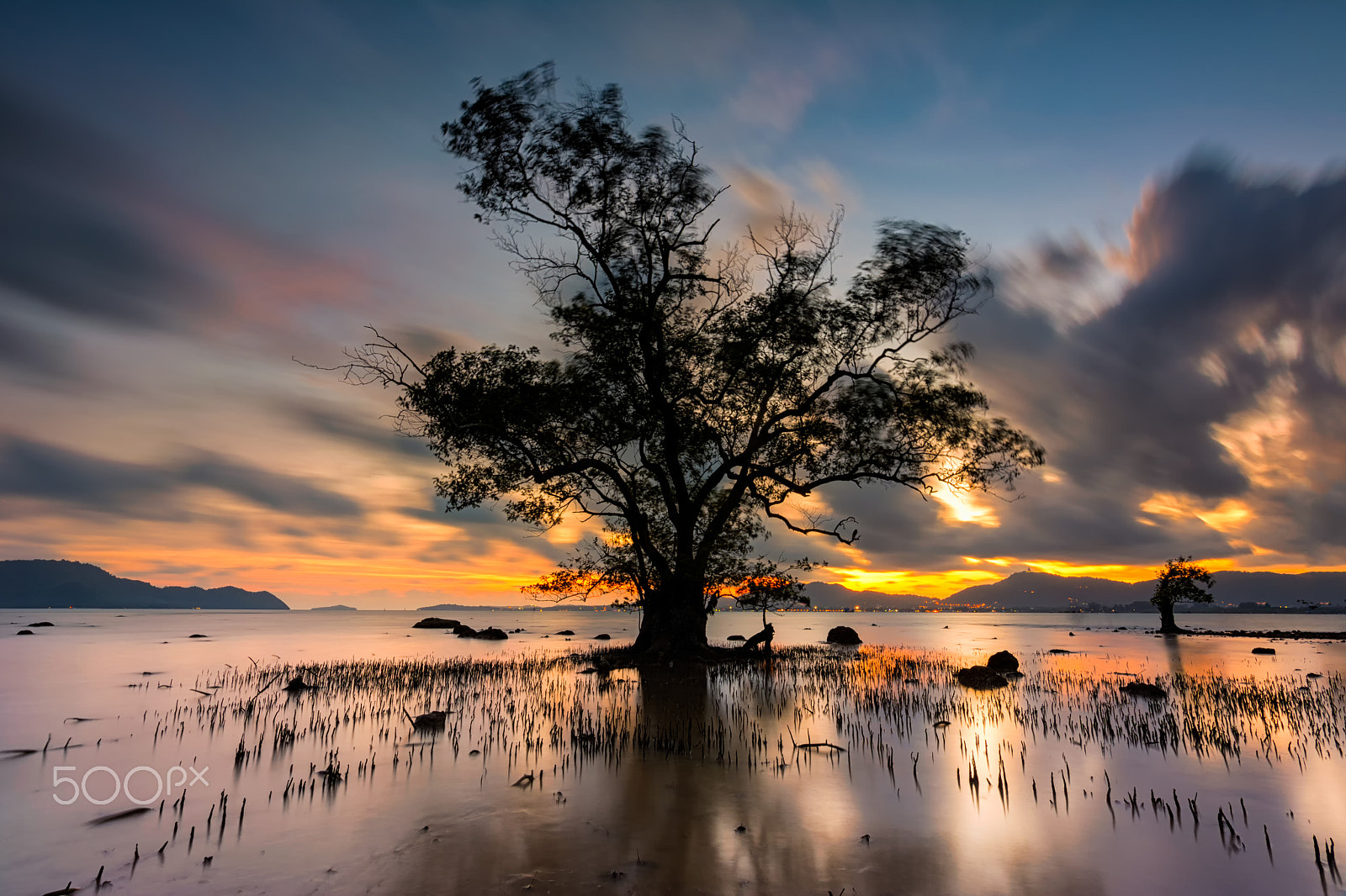 Nikon D5200 + Tokina AT-X 11-20 F2.8 PRO DX (AF 11-20mm f/2.8) sample photo. Mangrove tree and cloud movement clouds with sunset or sunrise l photography