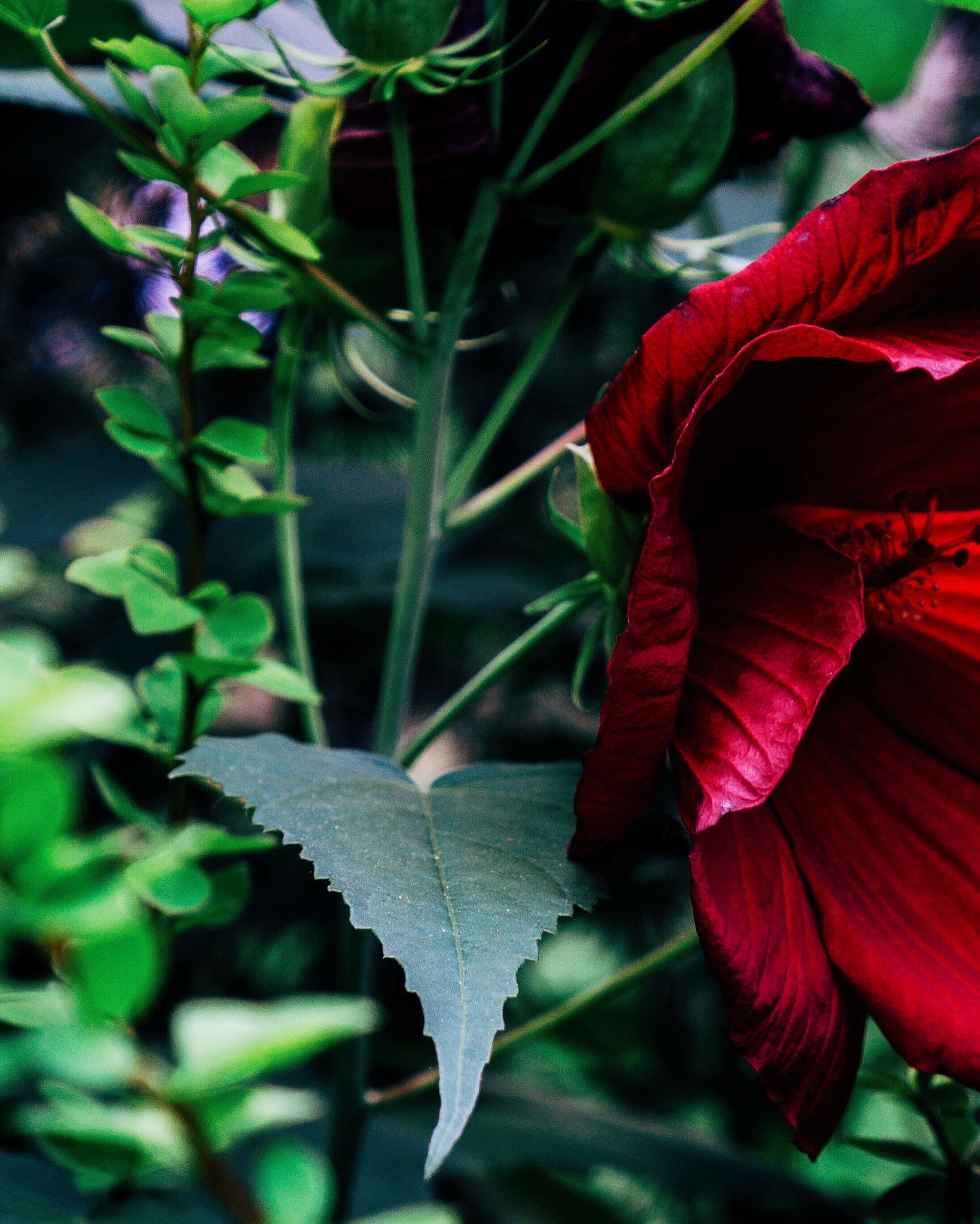 Sony a6000 + Sony Vario Tessar T* FE 24-70mm F4 ZA OSS sample photo. More uploads coming tomorrow! goodnight! photography