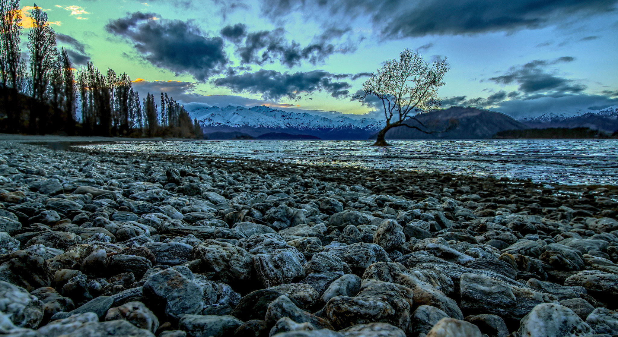 10.0 - 18.0 mm sample photo. Wanaka tree photography