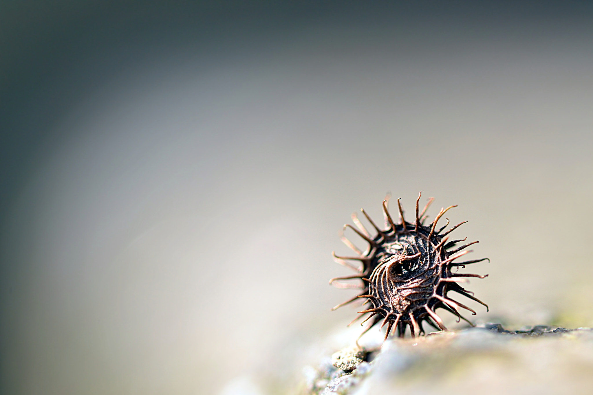 Sigma 105mm F2.8 EX DG OS HSM sample photo. Tyre on the step photography