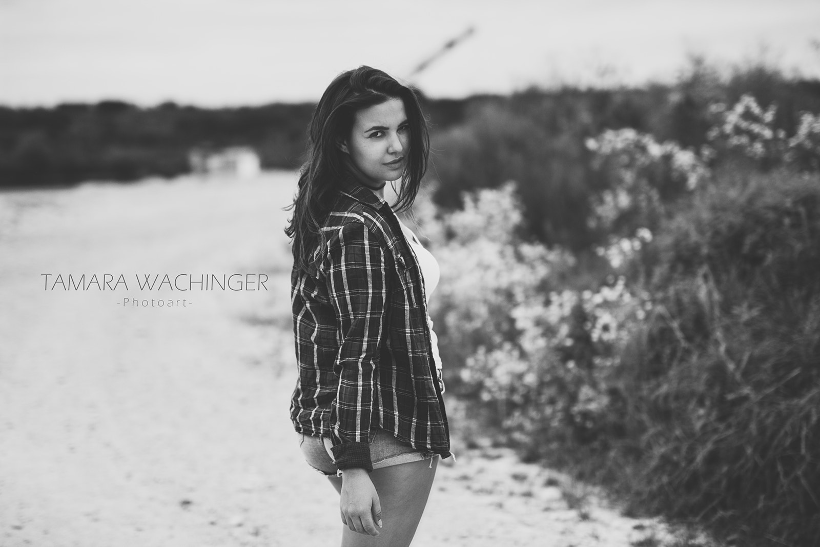 Sigma 50mm F1.4 EX DG HSM sample photo. Its not all black ... photography