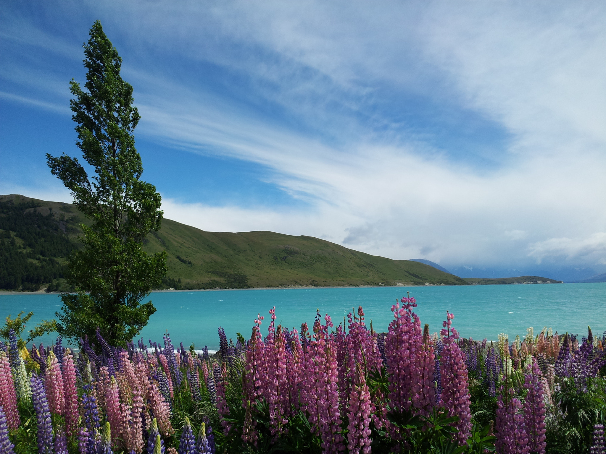Samsung Galaxy S2 Plus sample photo. Lake tekapo in summer photography