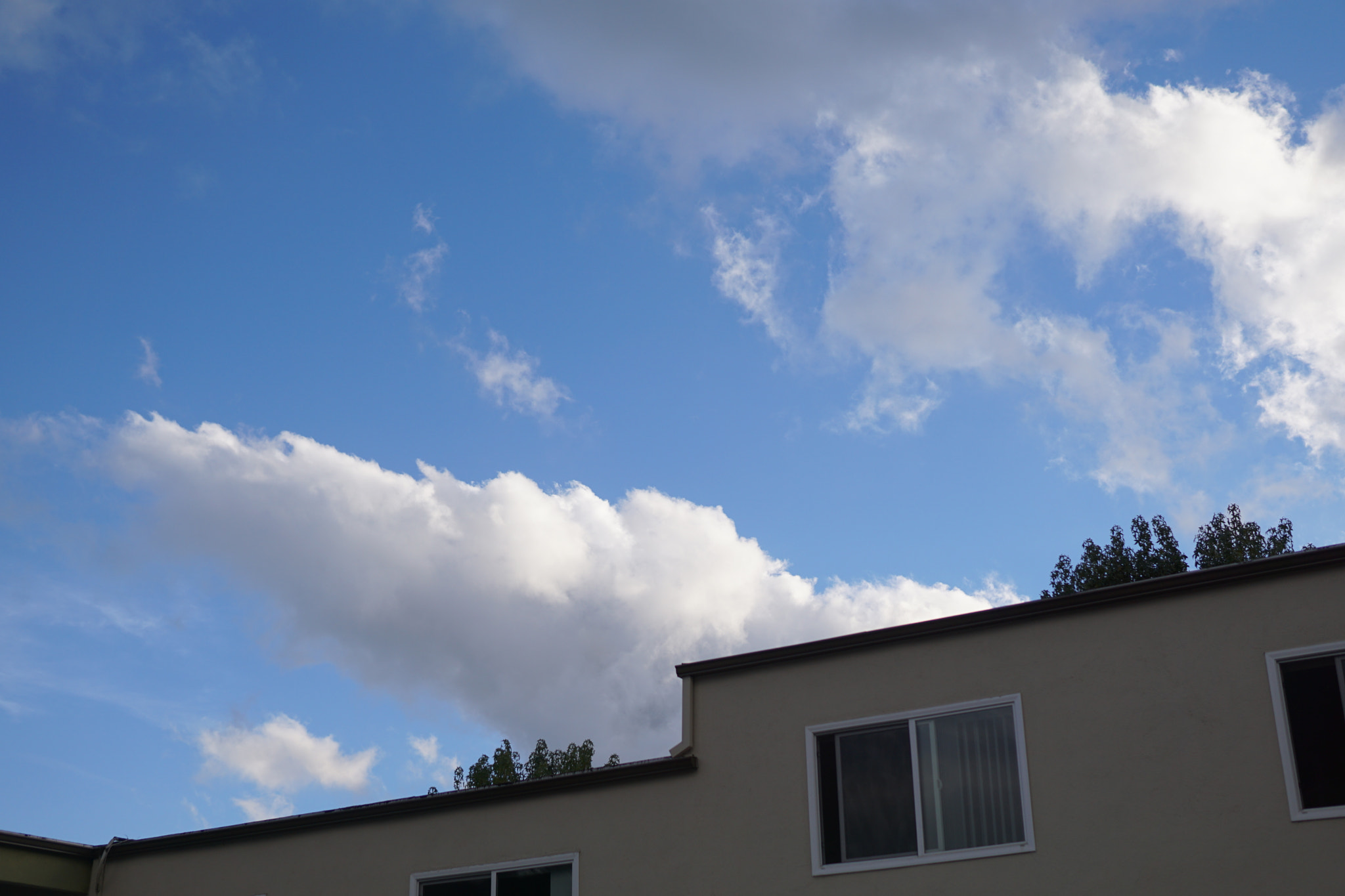 Sony a6000 + Sigma 30mm F1.4 DC DN | C sample photo. Look up photography
