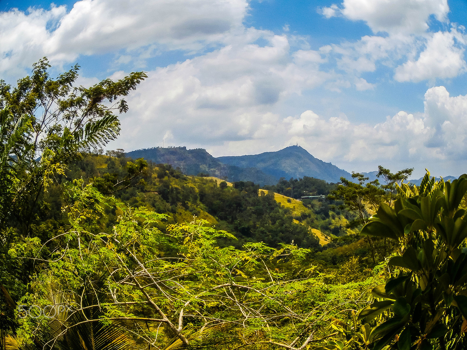 Olympus VR340,D750 sample photo. The mountain views photography