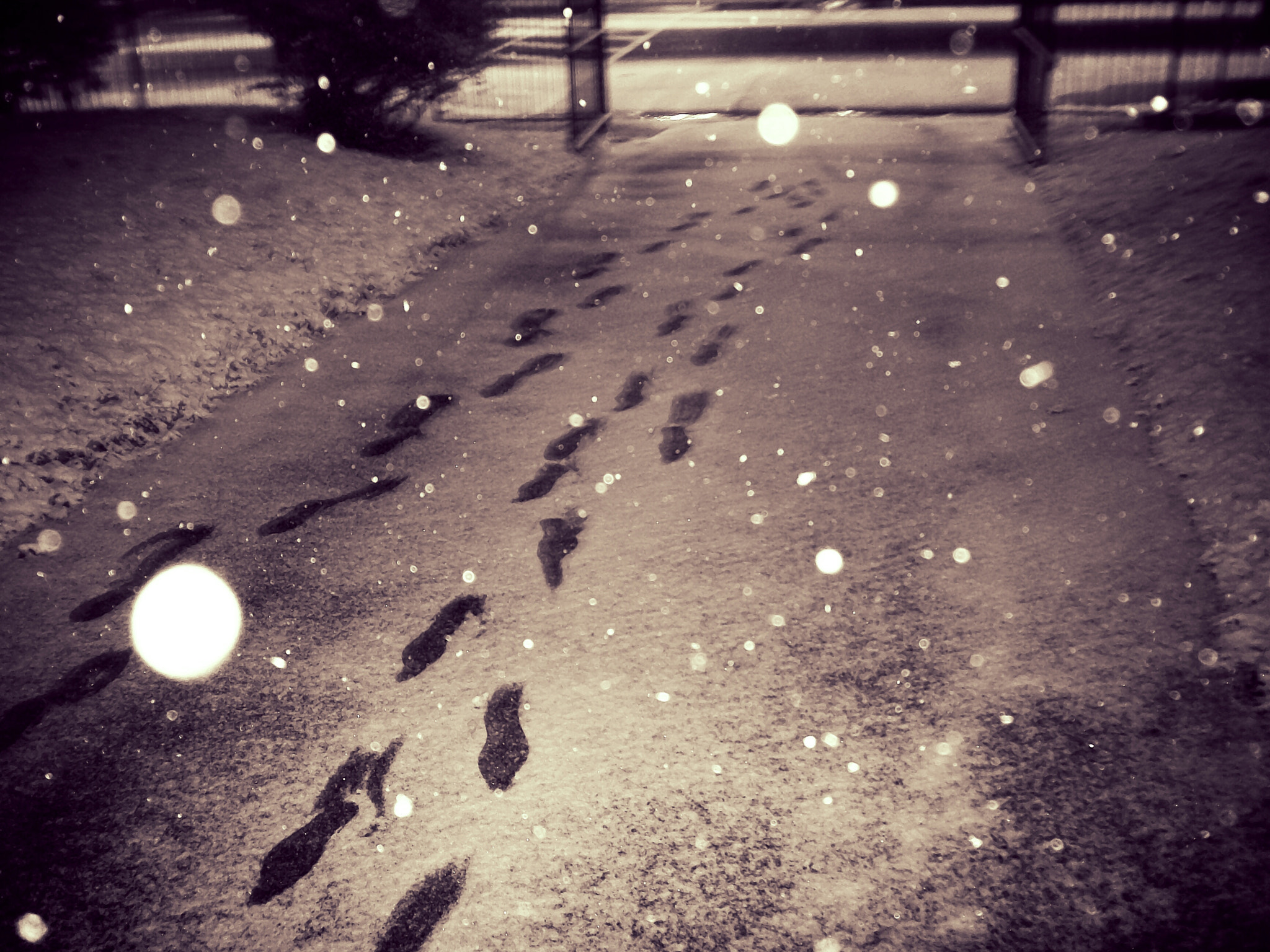 Kodak EasyShare C913 sample photo. Path photography