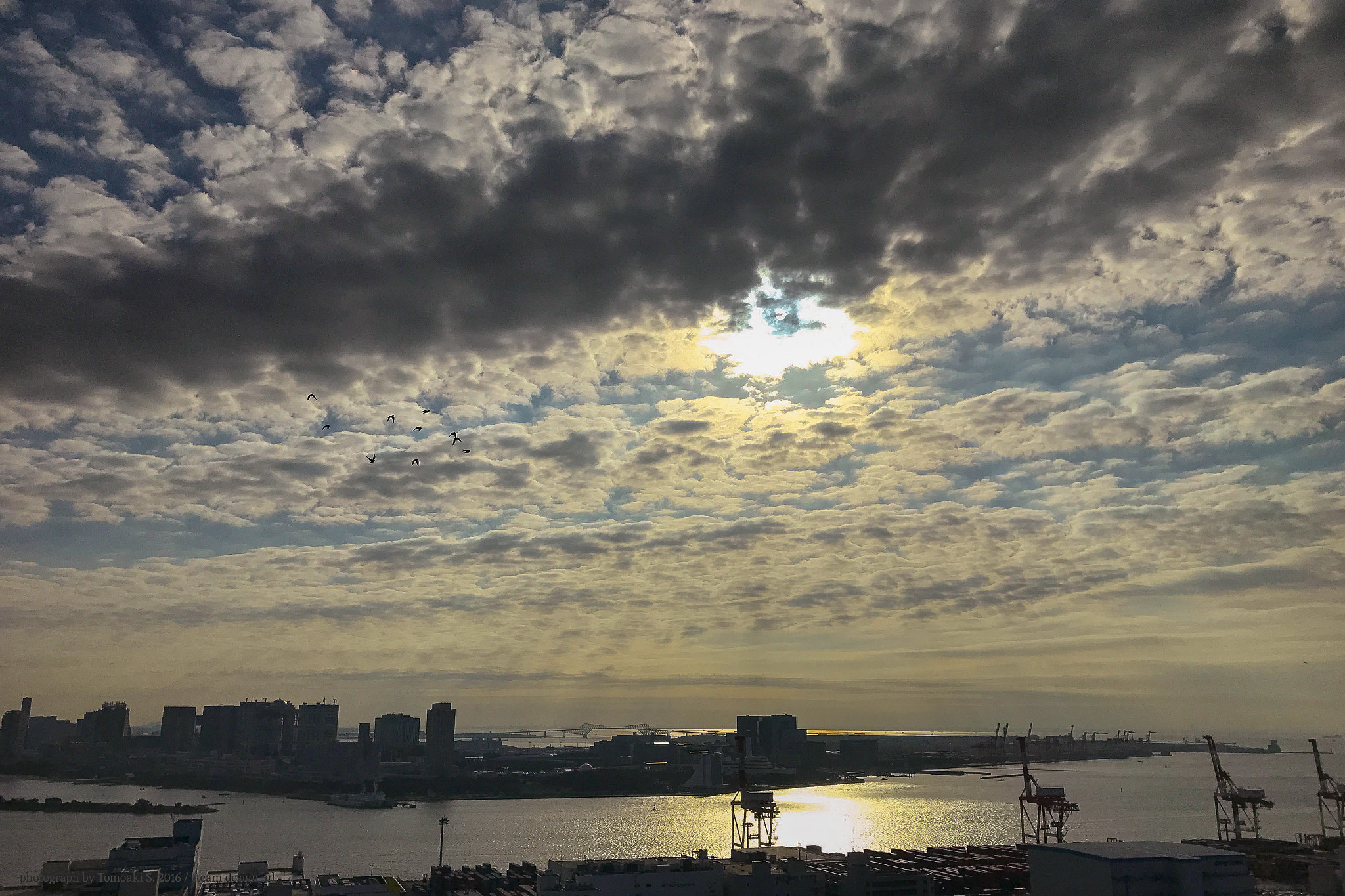 Apple iPhone 7 Plus sample photo. Morning photography