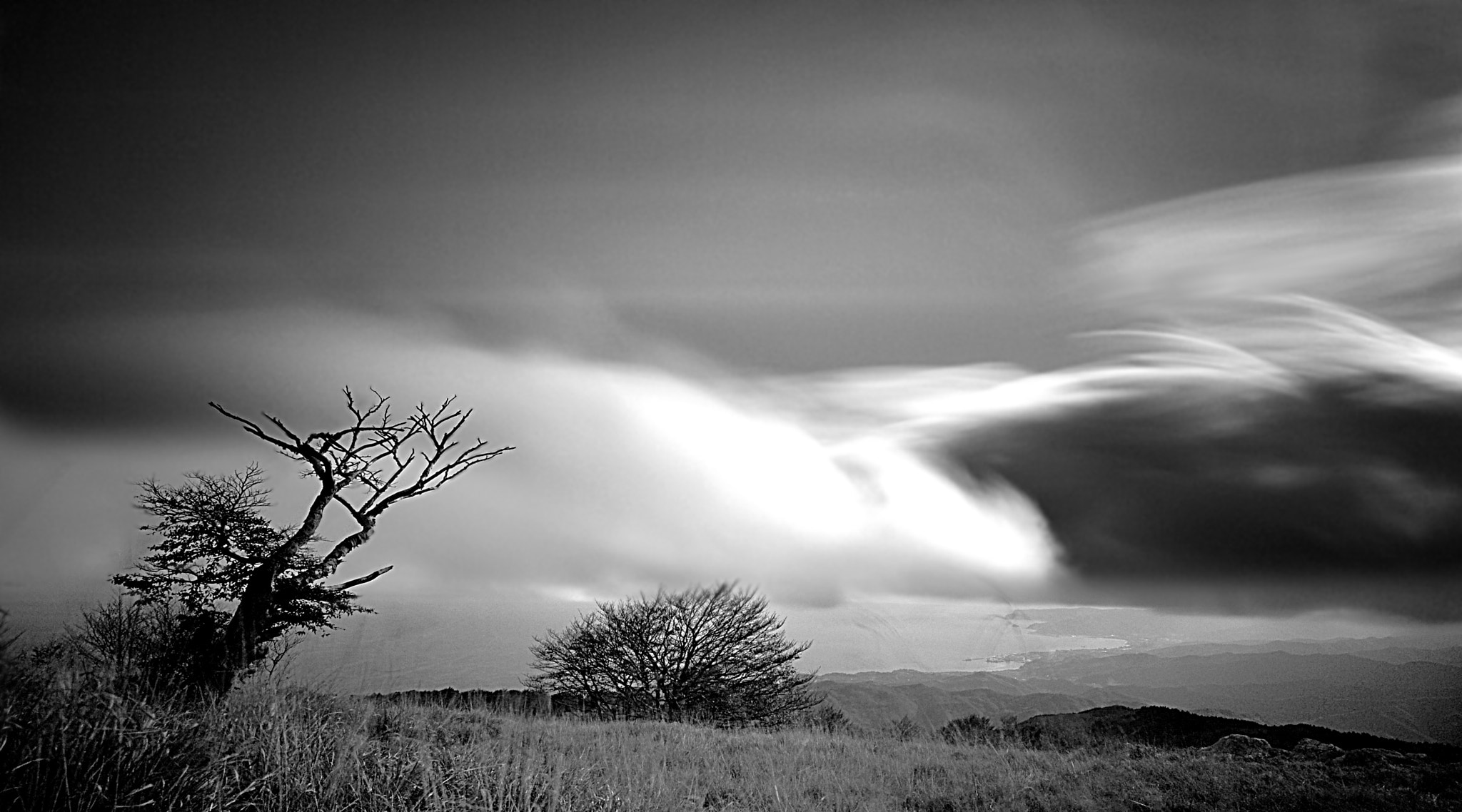 Nikon D3100 + Sigma 10-20mm F3.5 EX DC HSM sample photo. Lonely tree photography