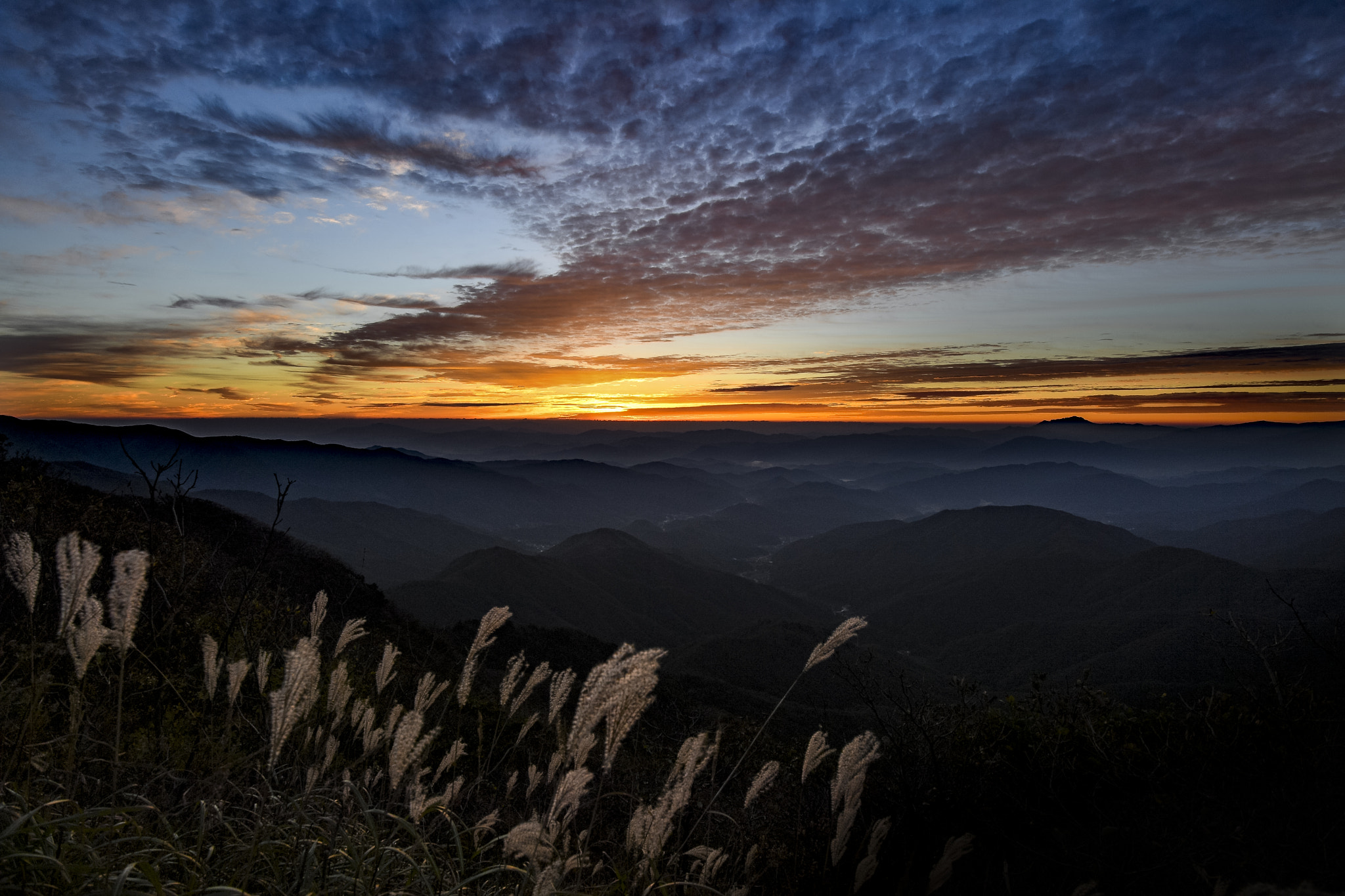 Nikon D5 sample photo. Sunrise of fall photography