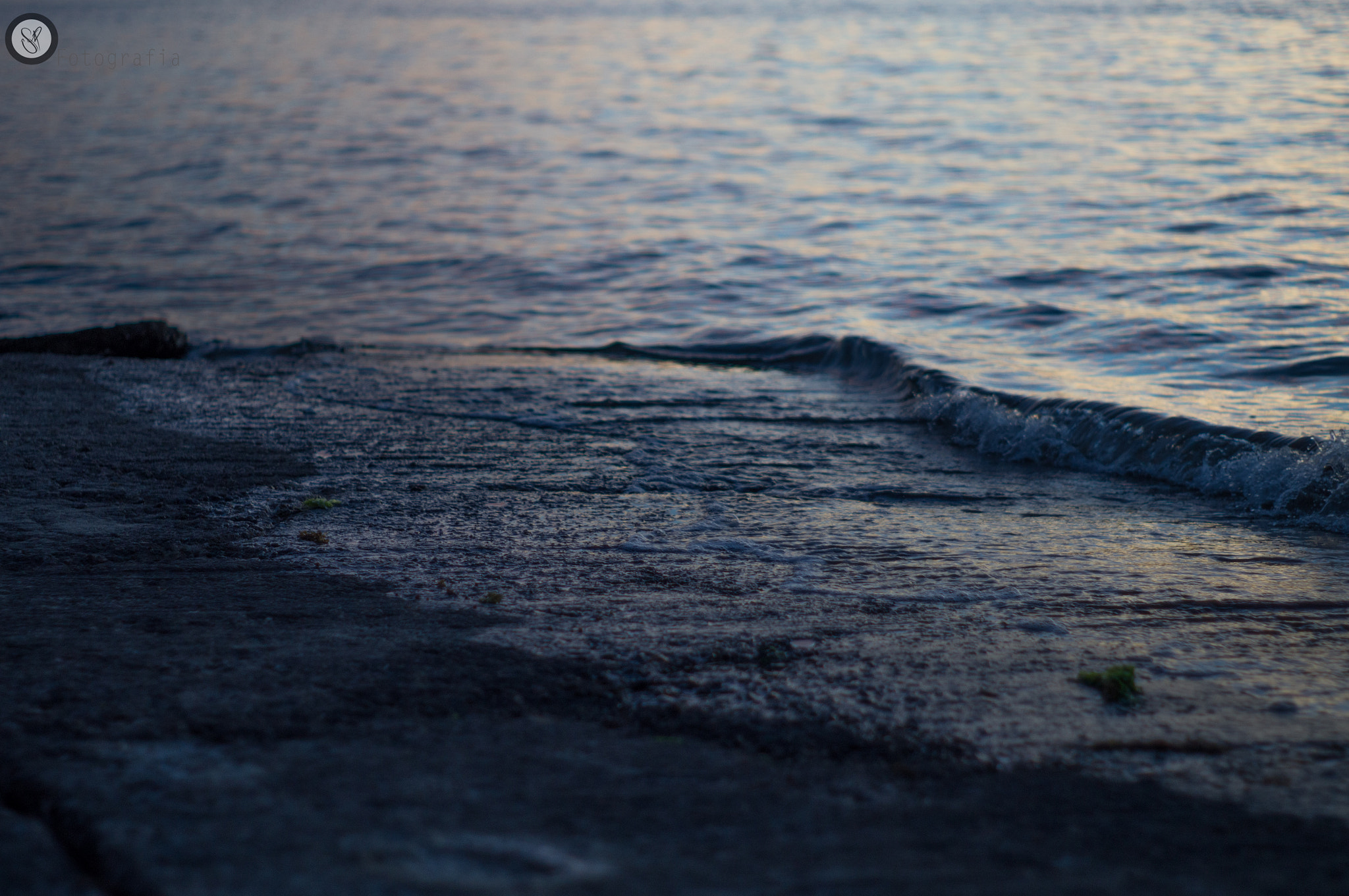 Sony SLT-A37 + Minolta AF 50mm F1.7 sample photo. Urban sirkopics photography