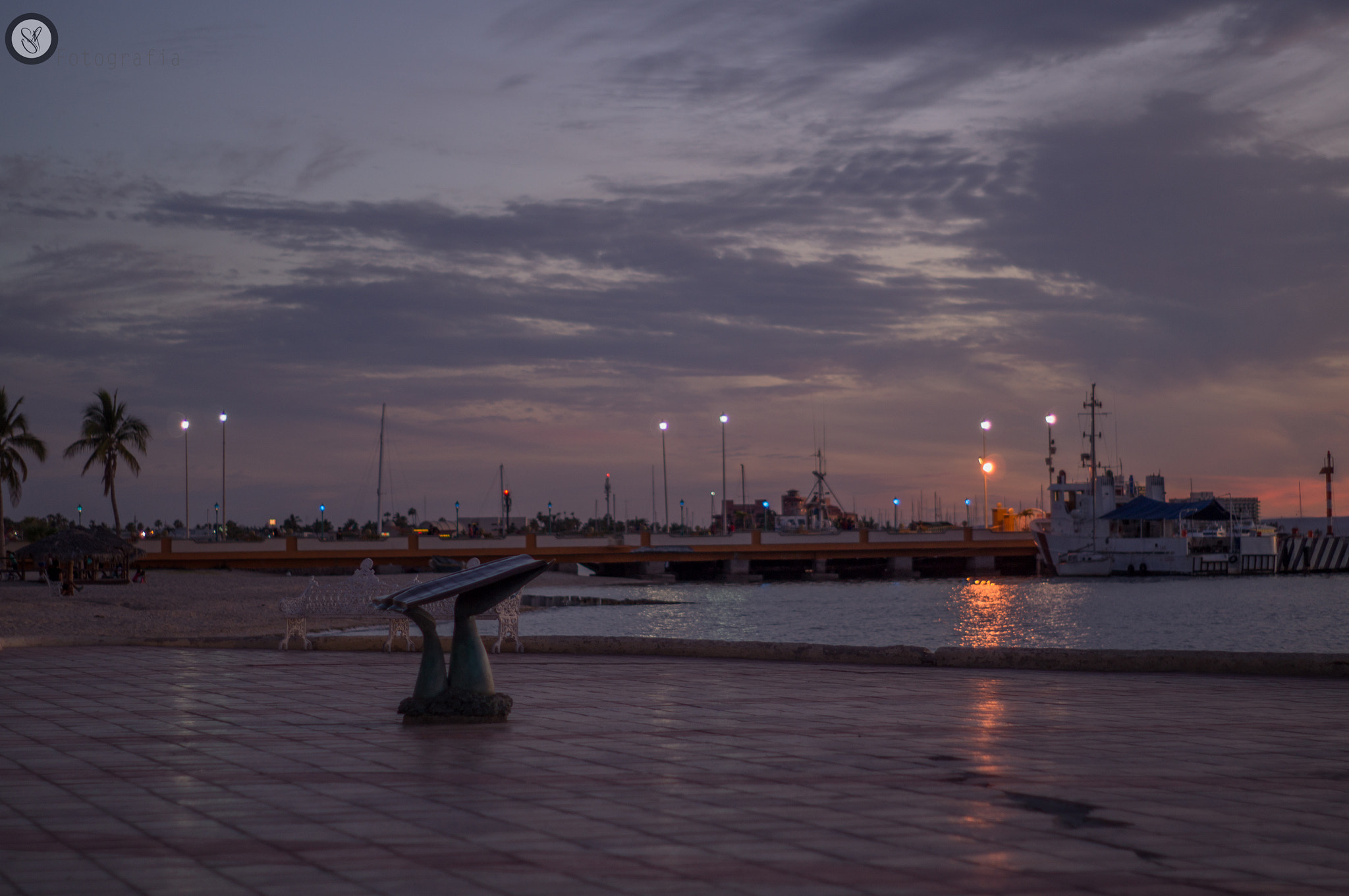 Sony SLT-A37 + Minolta AF 50mm F1.7 sample photo. Urban sirkopics photography