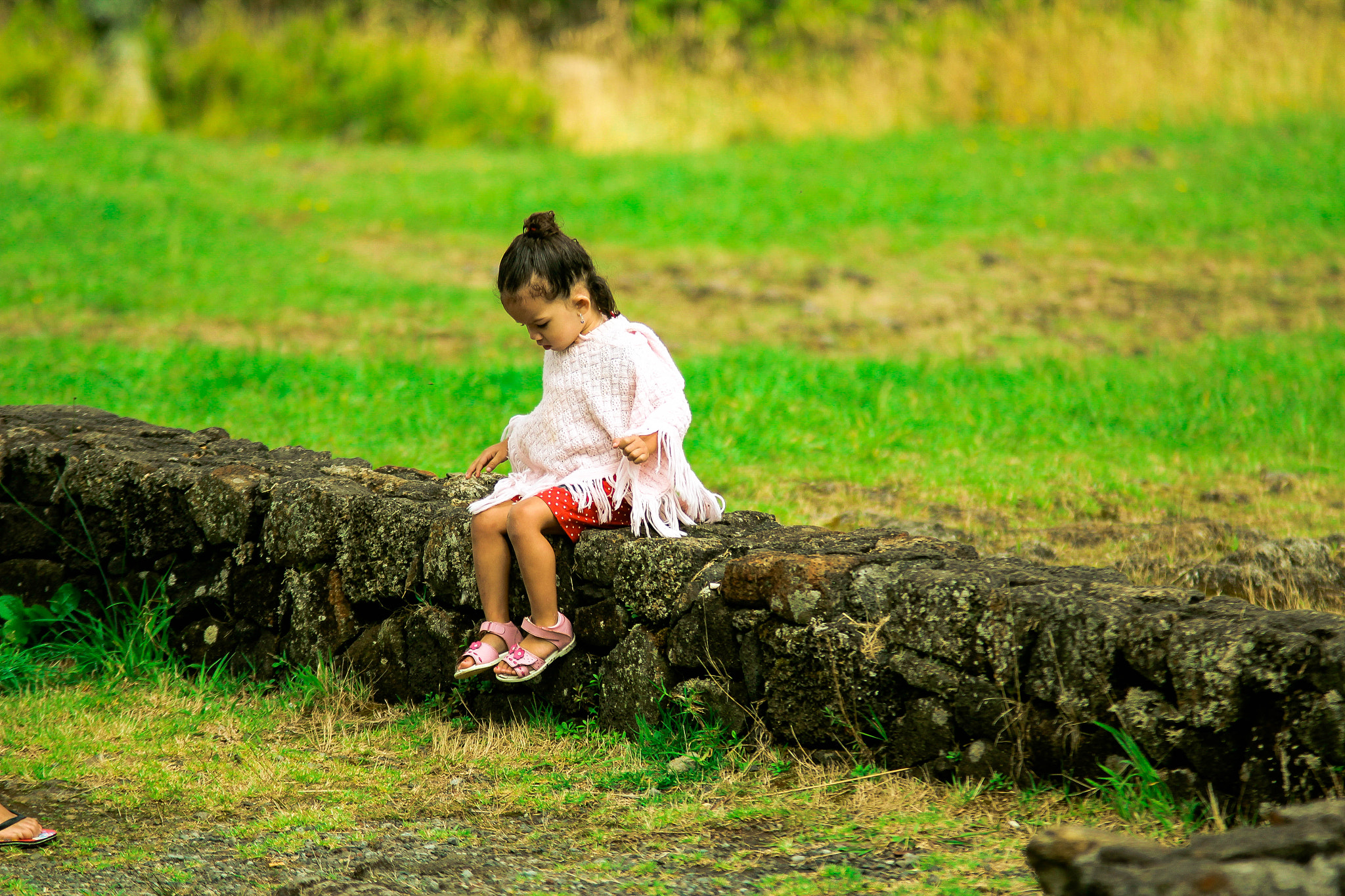 Canon EF 70-200mm F2.8L USM sample photo. Img photography