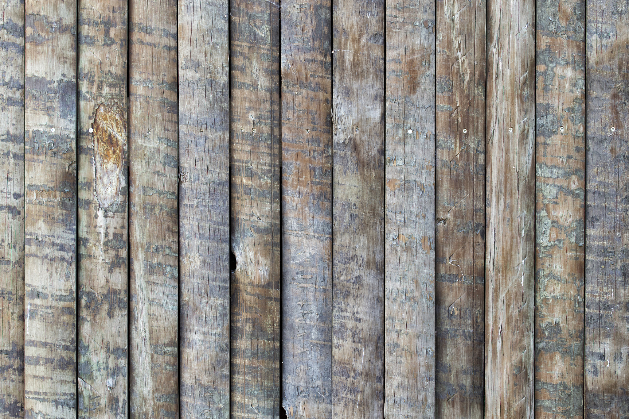 Canon EF 100-400mm F4.5-5.6L IS USM sample photo. Wooden background photography