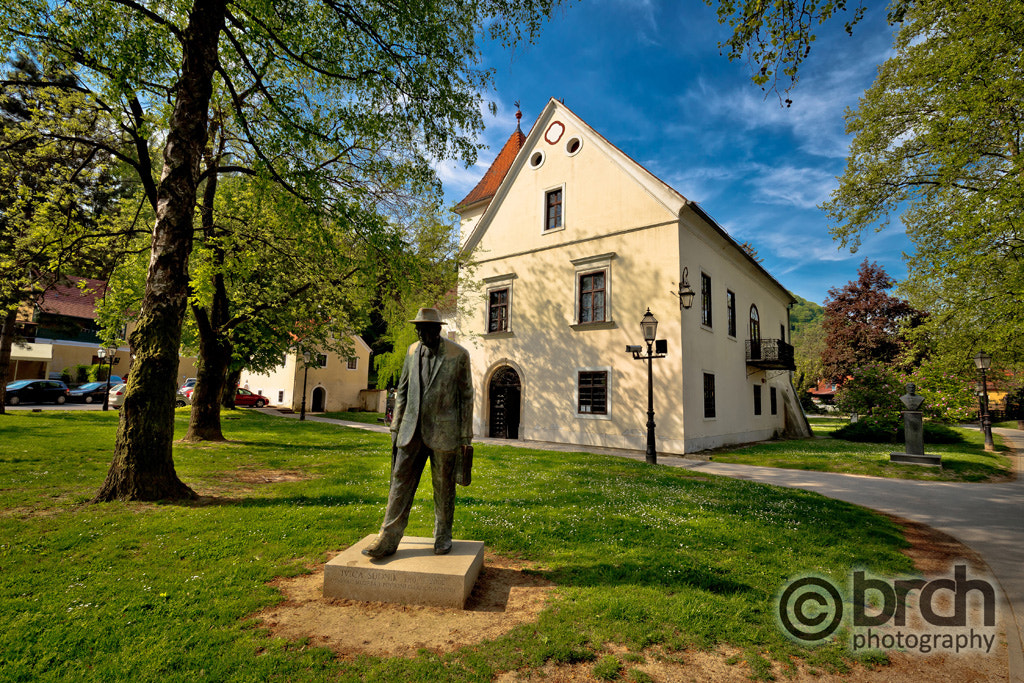 Canon EOS 6D sample photo. Samobor green park and old architecture photography