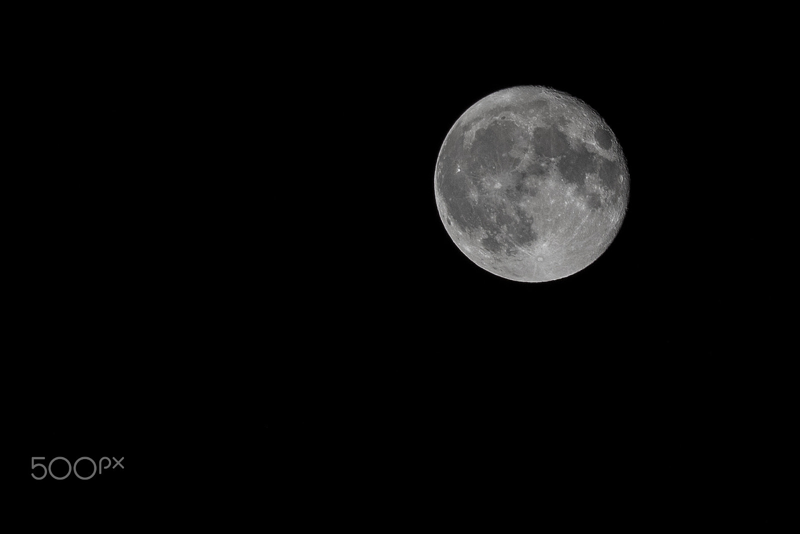 Sigma 70-300mm F4-5.6 APO DG Macro sample photo. Luna photography