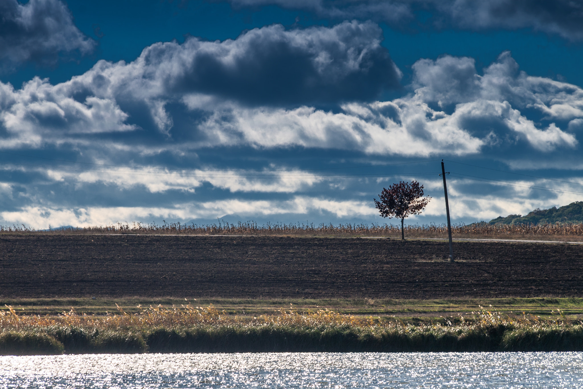 Sigma 18-200mm f/3.5-6.3 DC OS sample photo. + photography