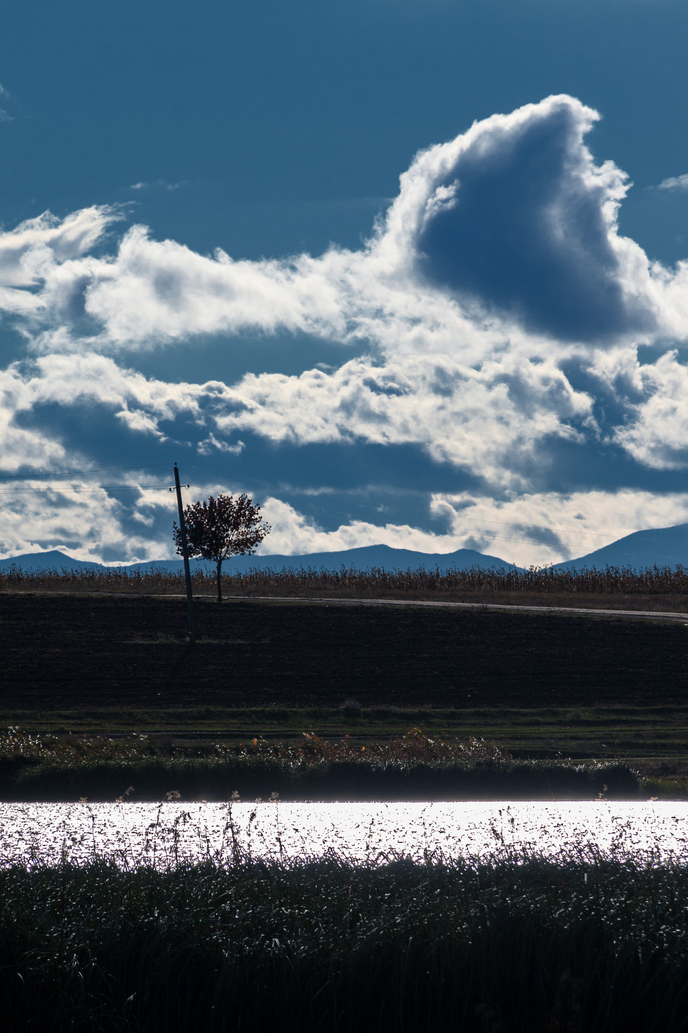 Sigma 18-200mm f/3.5-6.3 DC OS sample photo. + photography