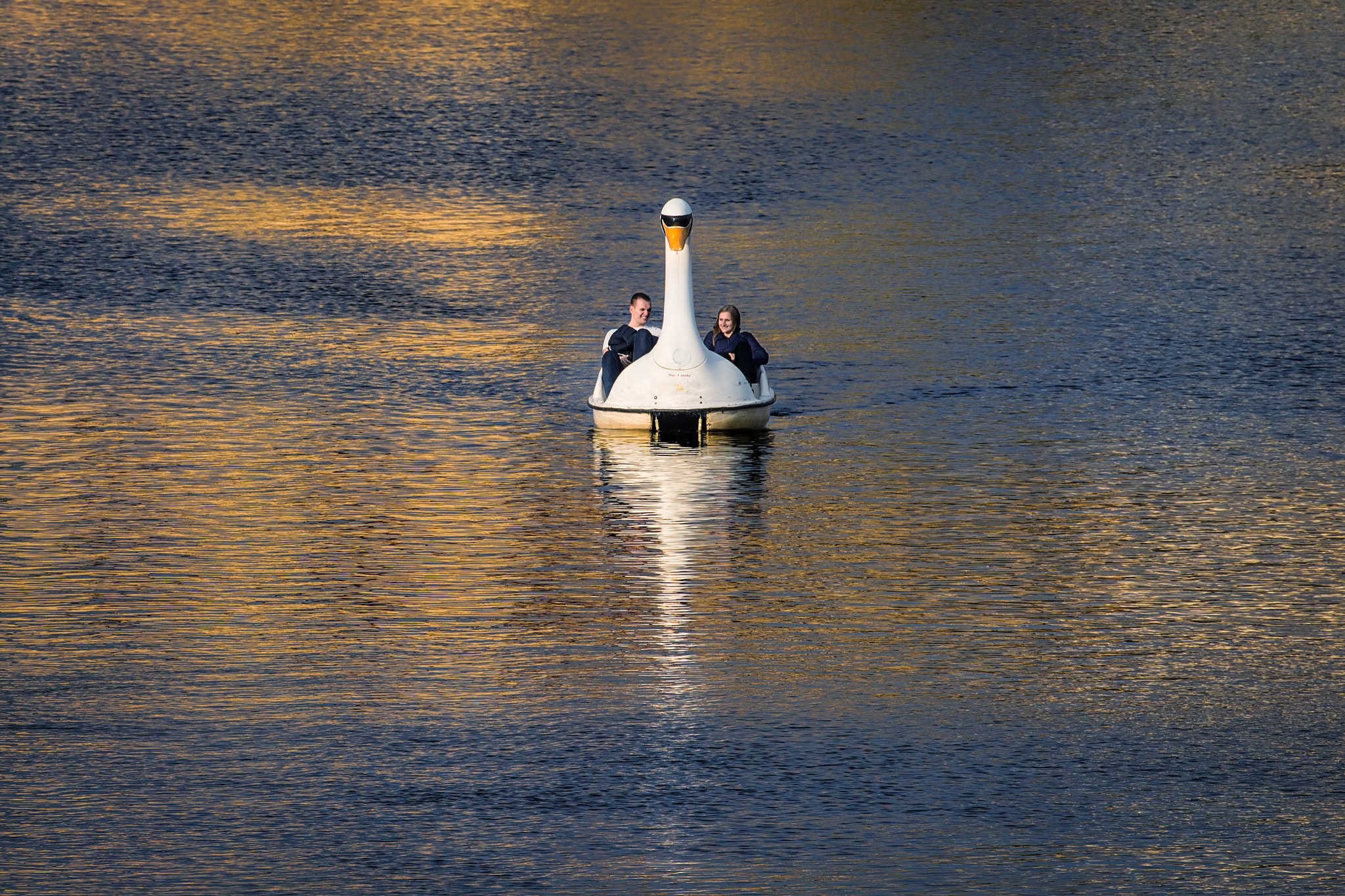 Canon EF 100-400mm F4.5-5.6L IS USM sample photo. Swan boat photography