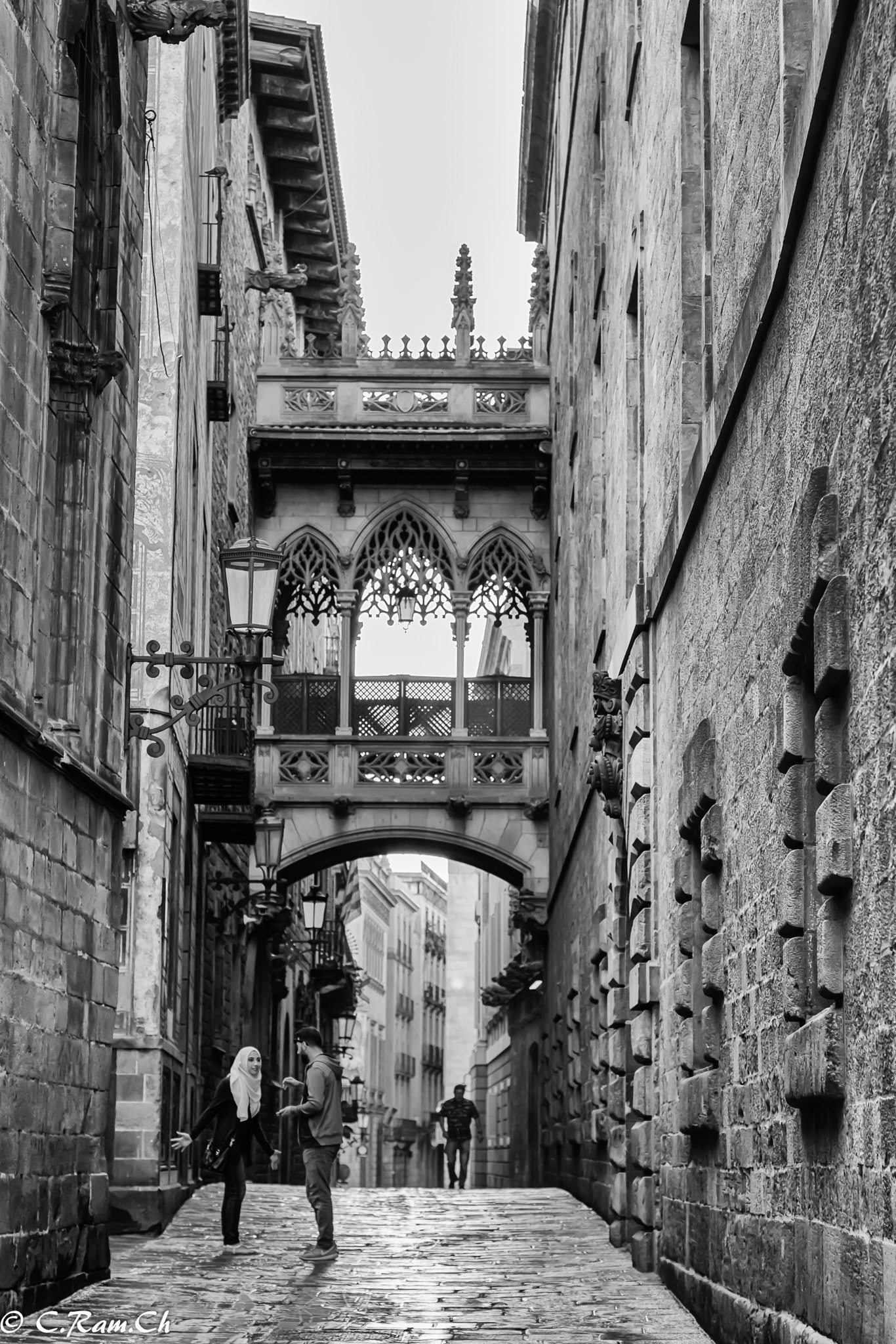 Canon EOS 760D (EOS Rebel T6s / EOS 8000D) + Canon EF 50mm F1.4 USM sample photo. Pont del bisbe, barcelona photography