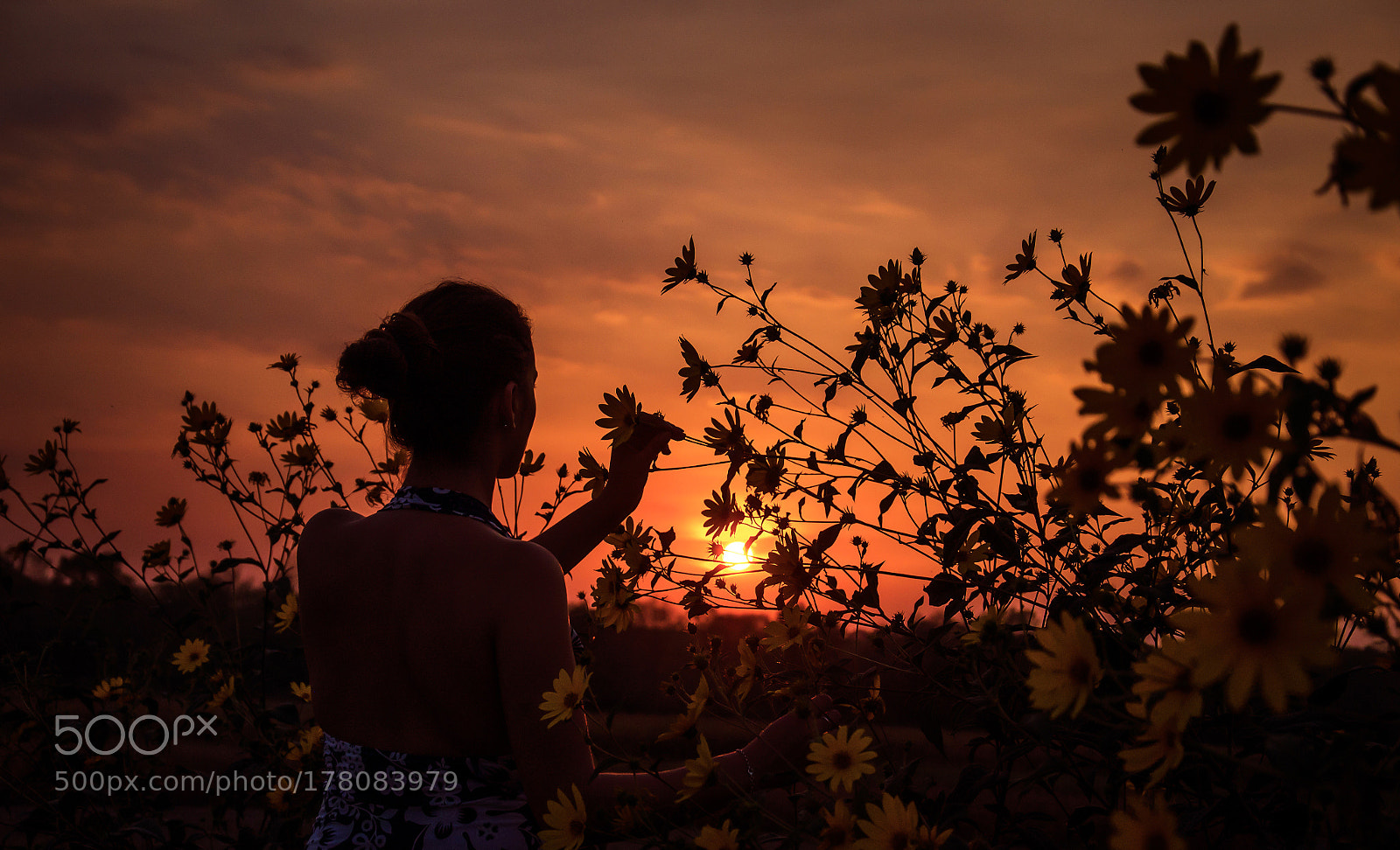 Nikon D5100 sample photo. Touching the sunset photography
