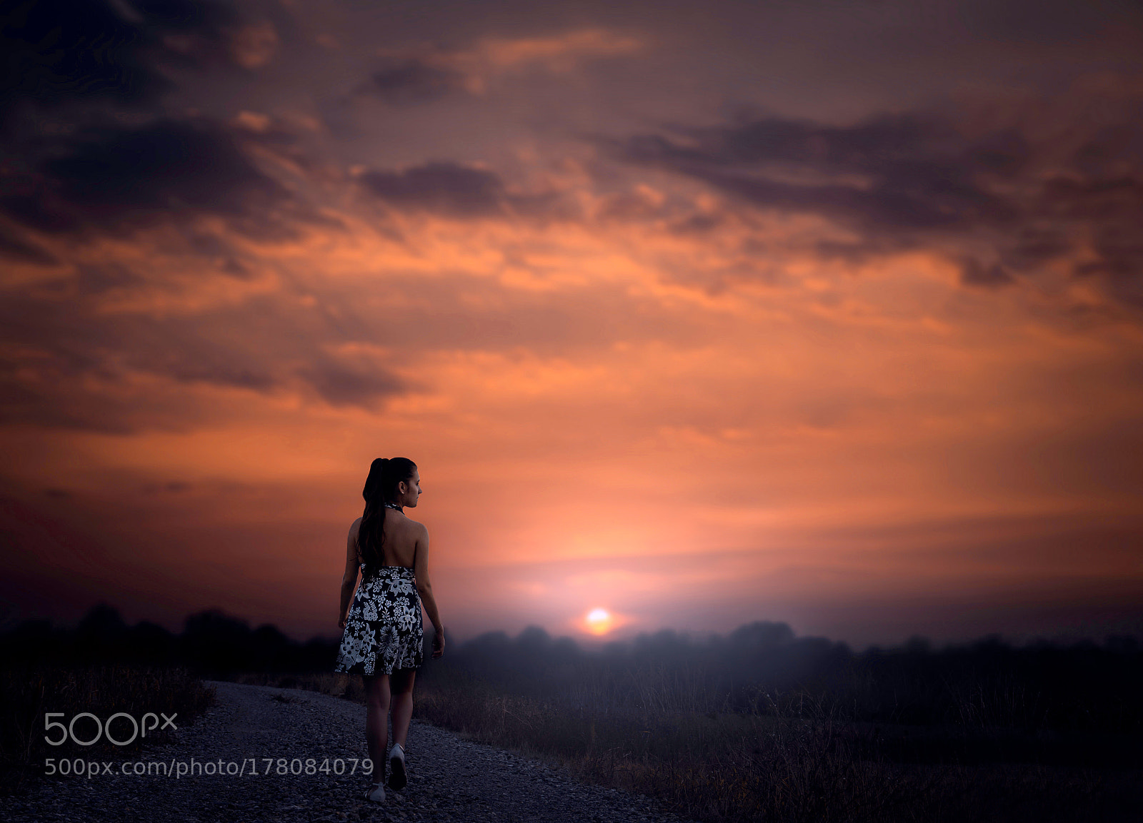 Nikon D5100 sample photo. Walking into the sunset photography