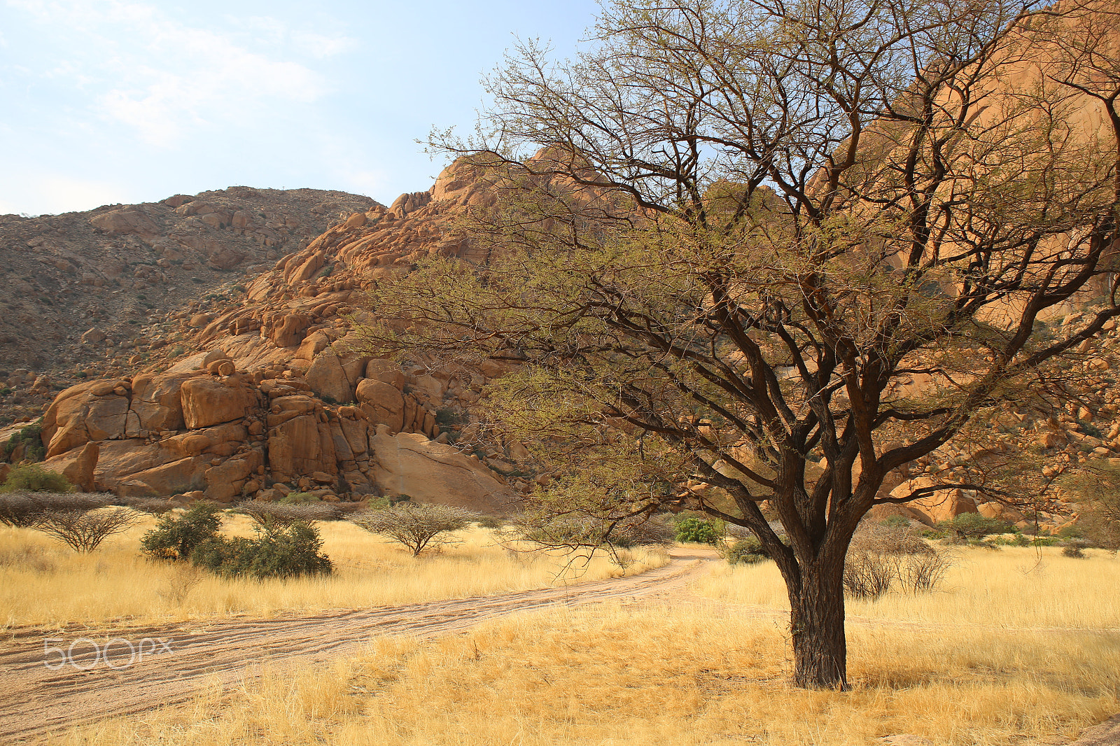 Canon EF 28-80mm f/3.5-5.6 USM IV sample photo. Namibian landscape photography