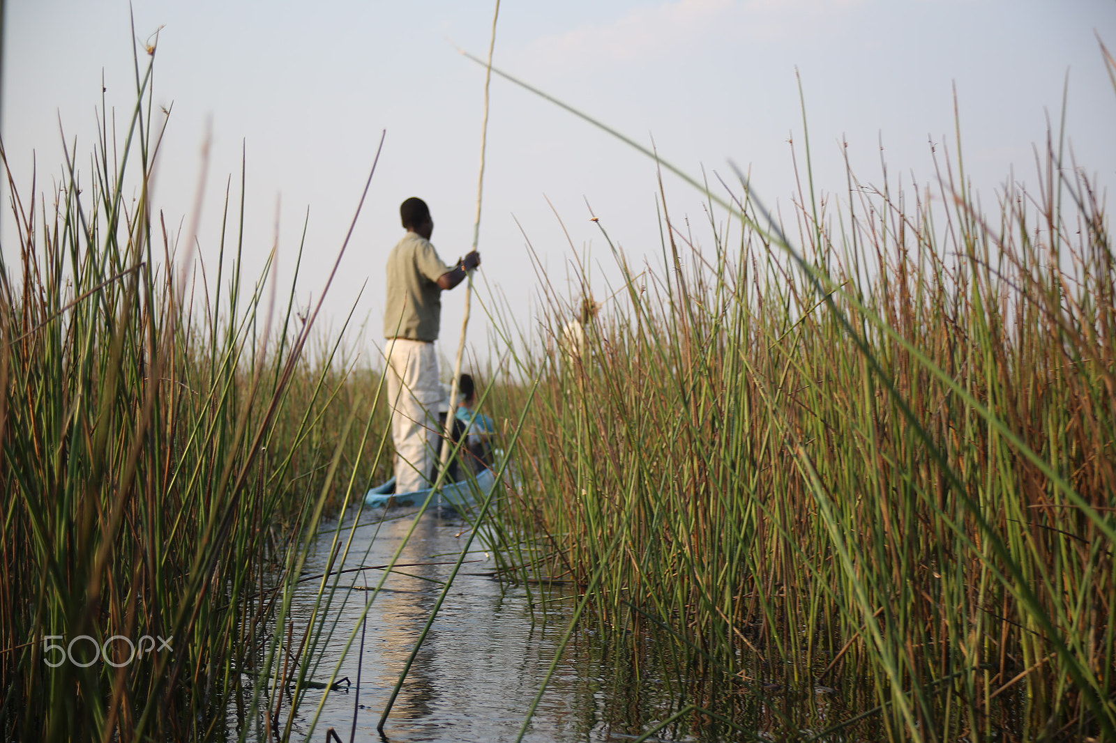 Canon EF 28-80mm f/3.5-5.6 USM IV sample photo. Jourey through the okavango photography