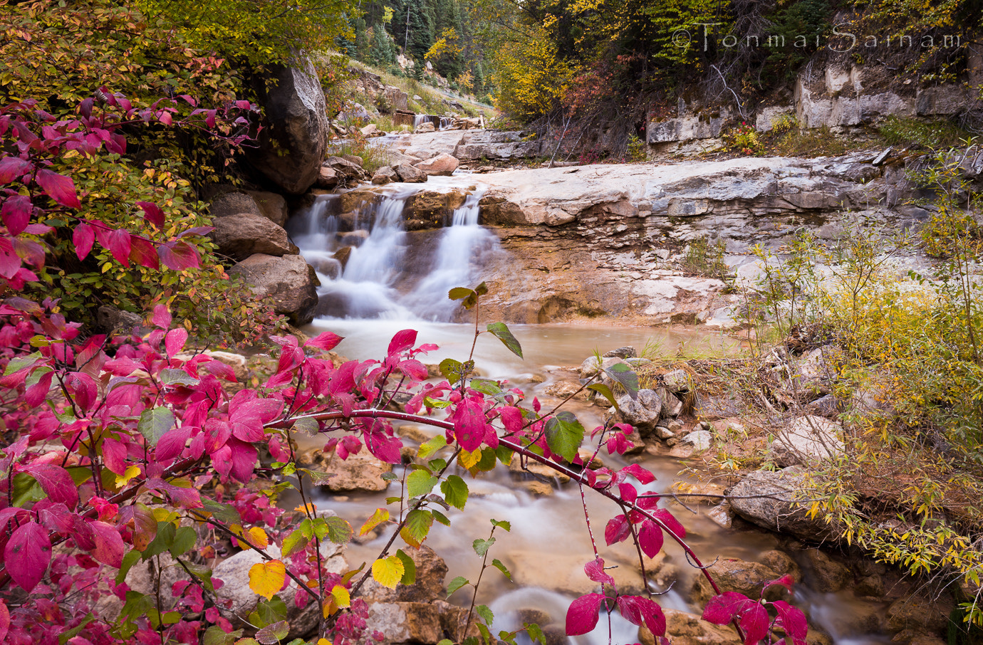 Canon EOS 6D + Canon EF 16-35mm F4L IS USM sample photo. Cedar creek waterfall  photography