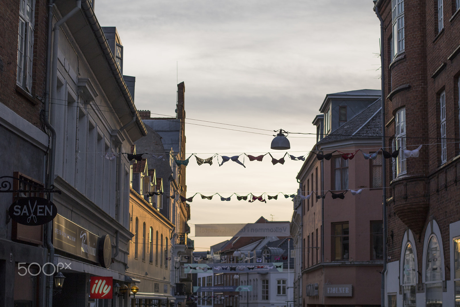 Canon EOS 760D (EOS Rebel T6s / EOS 8000D) + Canon EF 50mm F1.4 USM sample photo. Viborg photography