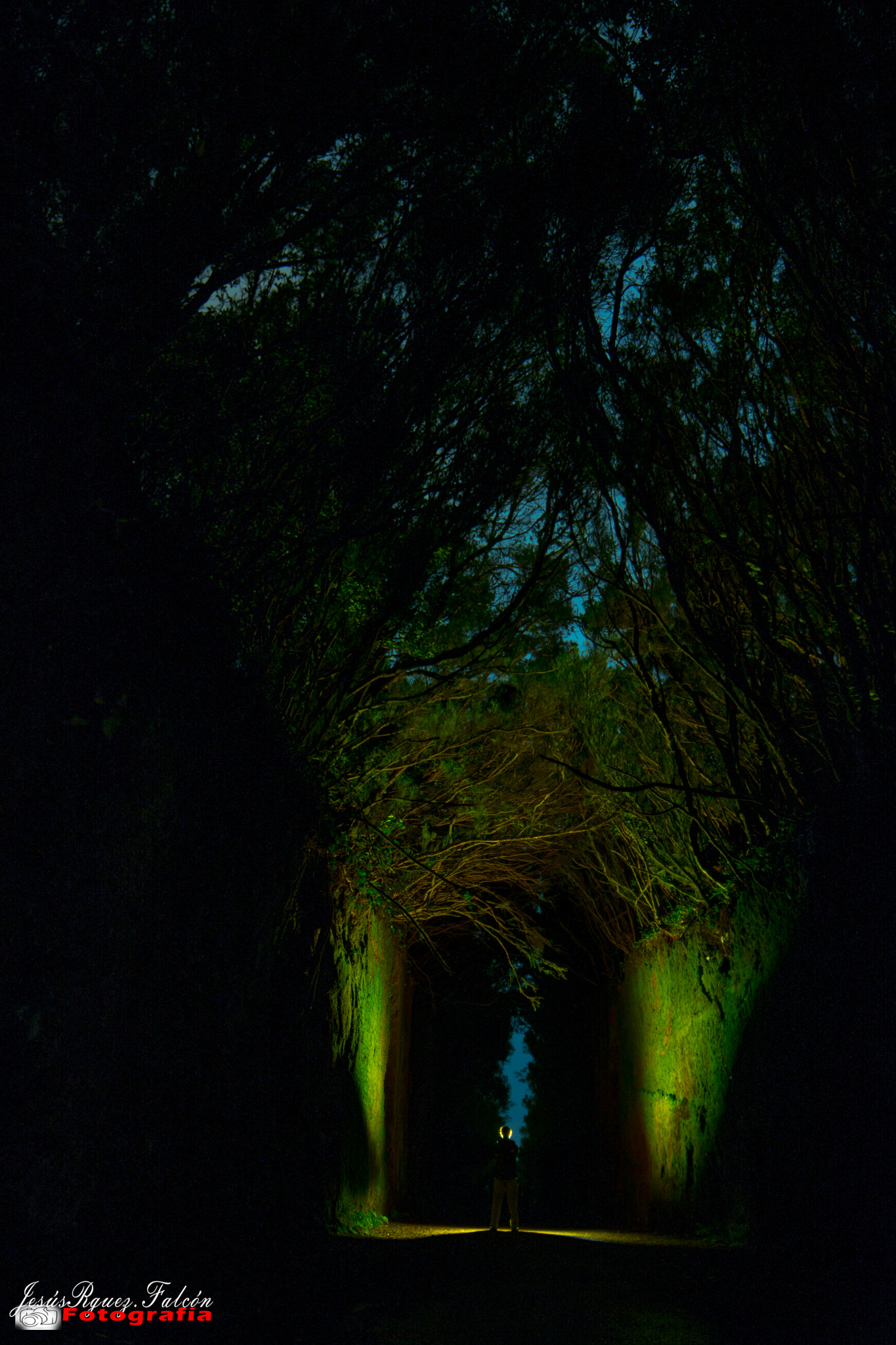 Samyang 14mm F2.8 ED AS IF UMC sample photo. El grito  (the scream) photography