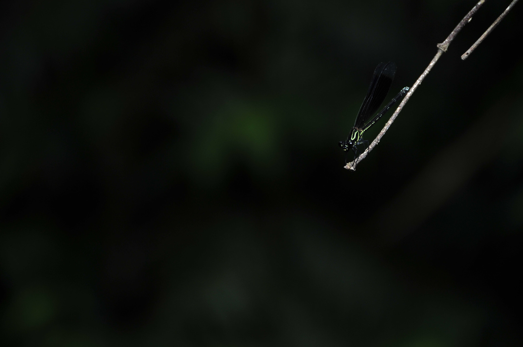 Nikon D3 sample photo. .. photography