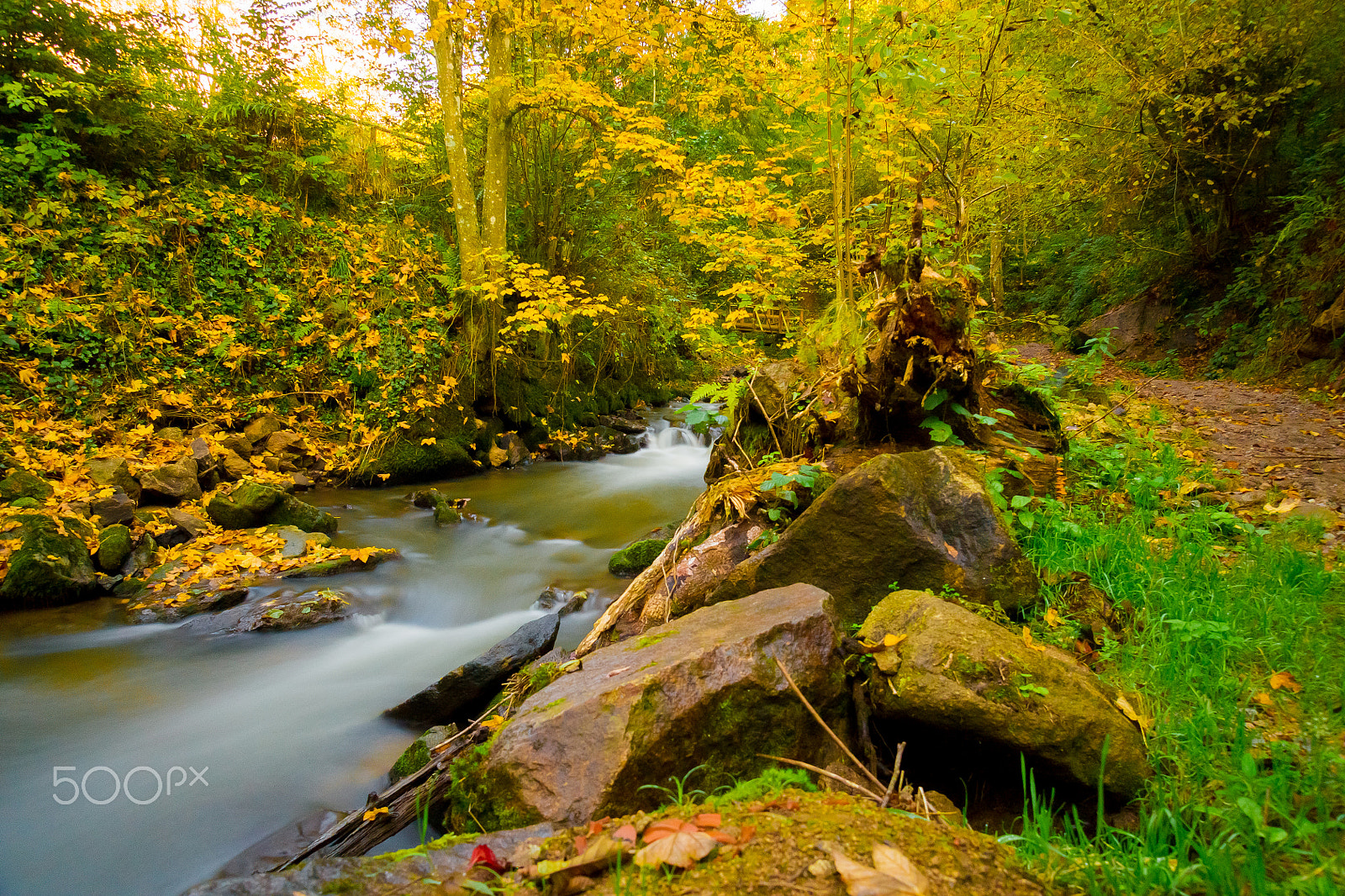 Sony Alpha DSLR-A500 sample photo. Little river in autumn photography