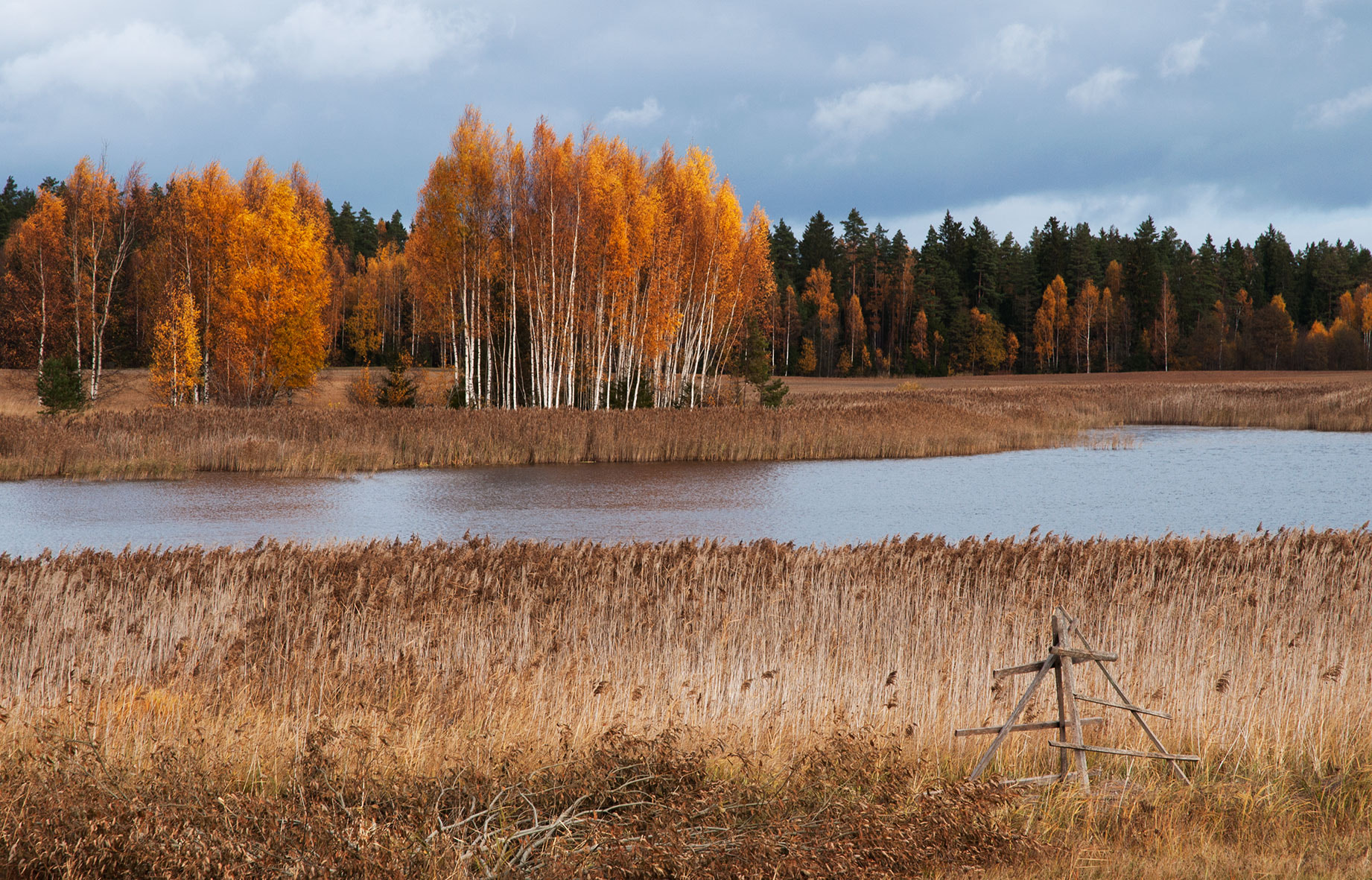 Nikon D5000 sample photo. Autumn in latvia photography