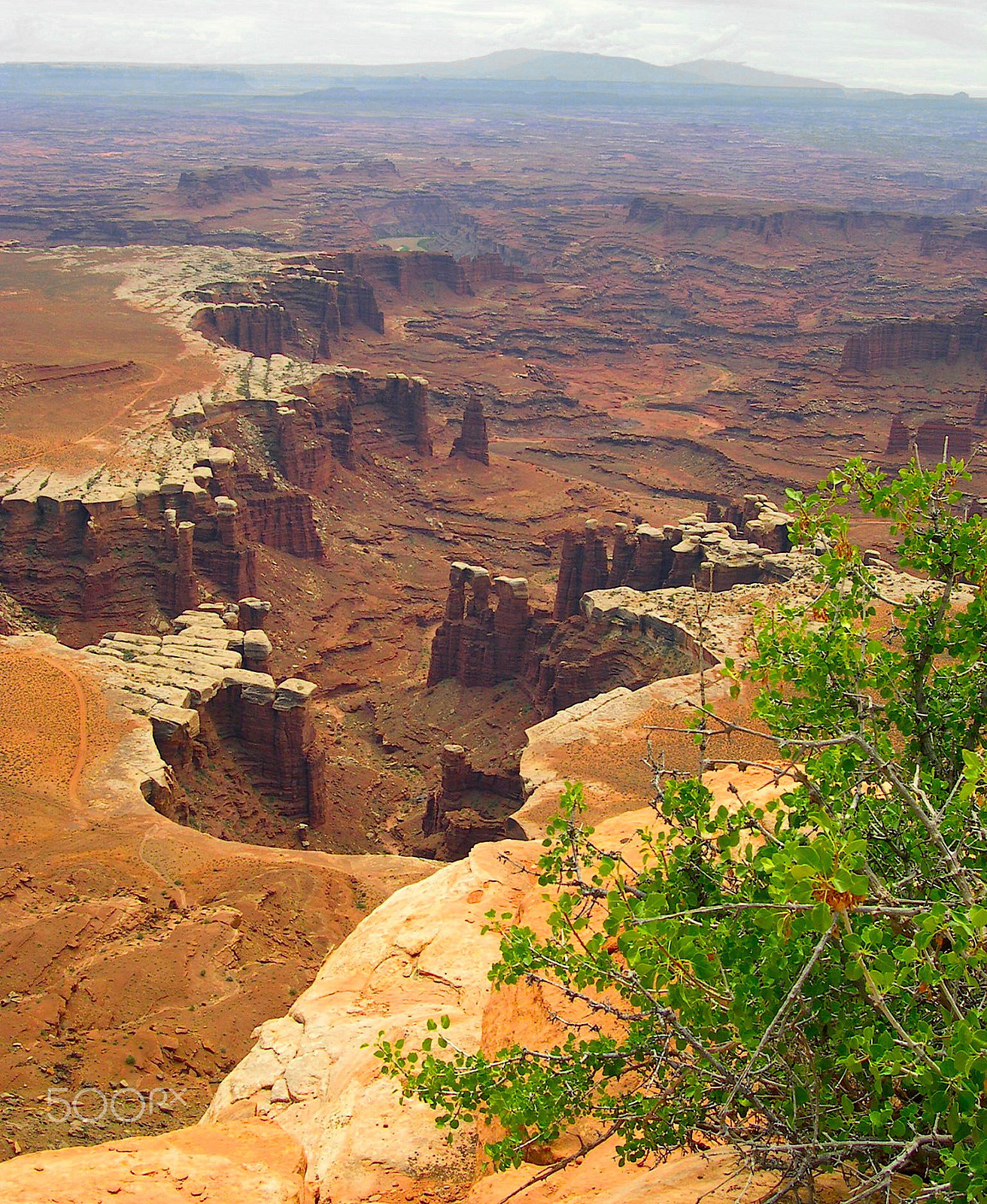 Nikon E4300 sample photo. W u s work() canyonland photography