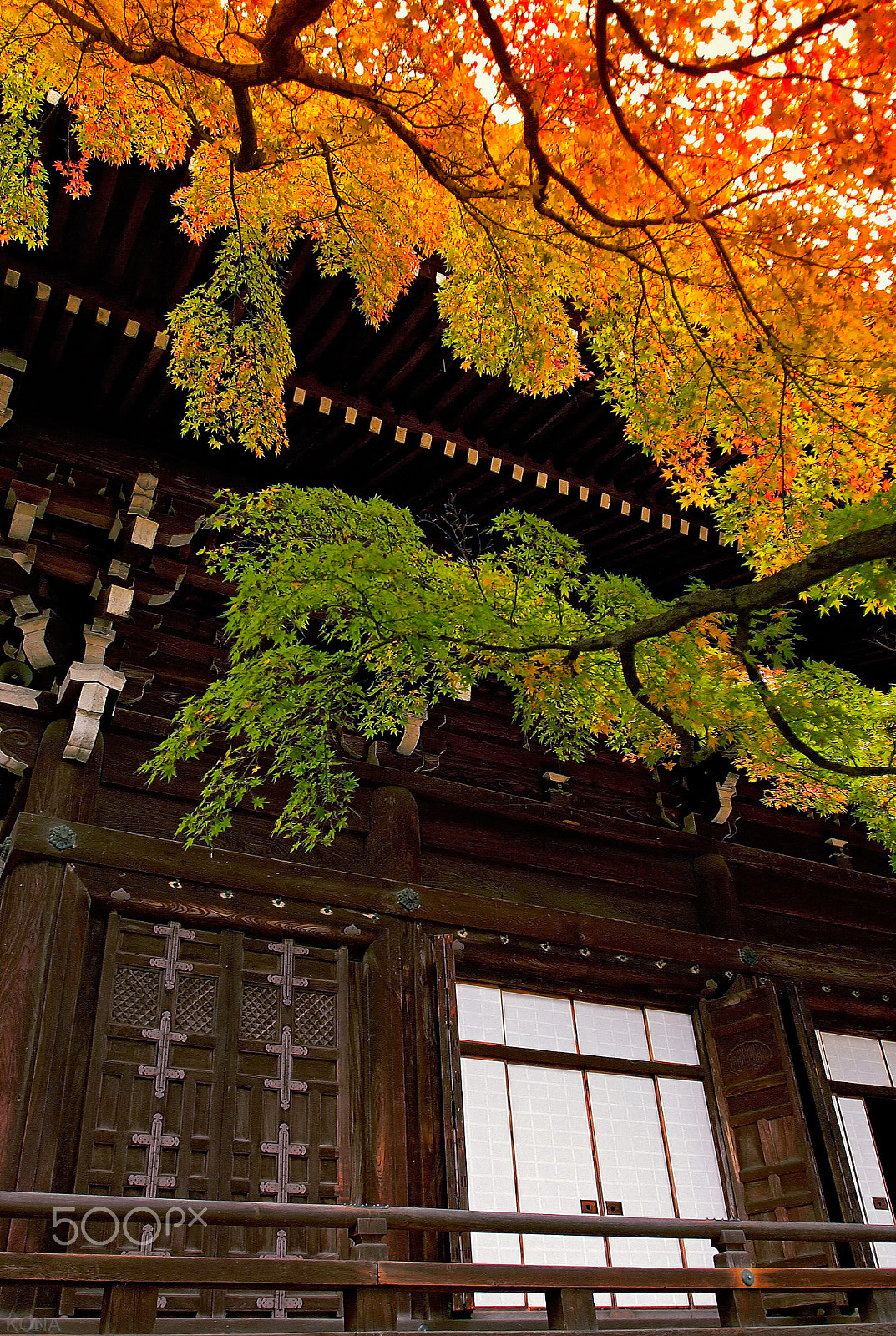 Nikon D1X sample photo. 30344624256.sinnyodou kyoto photography