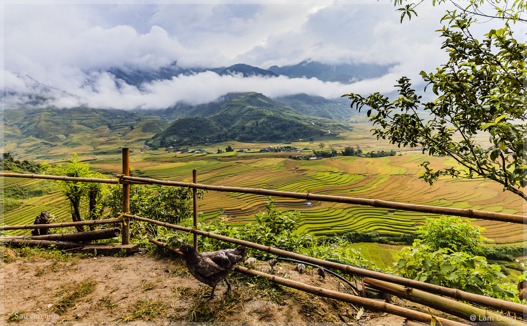 Canon EF 16-35mm F4L IS USM sample photo. Sau con mua photography