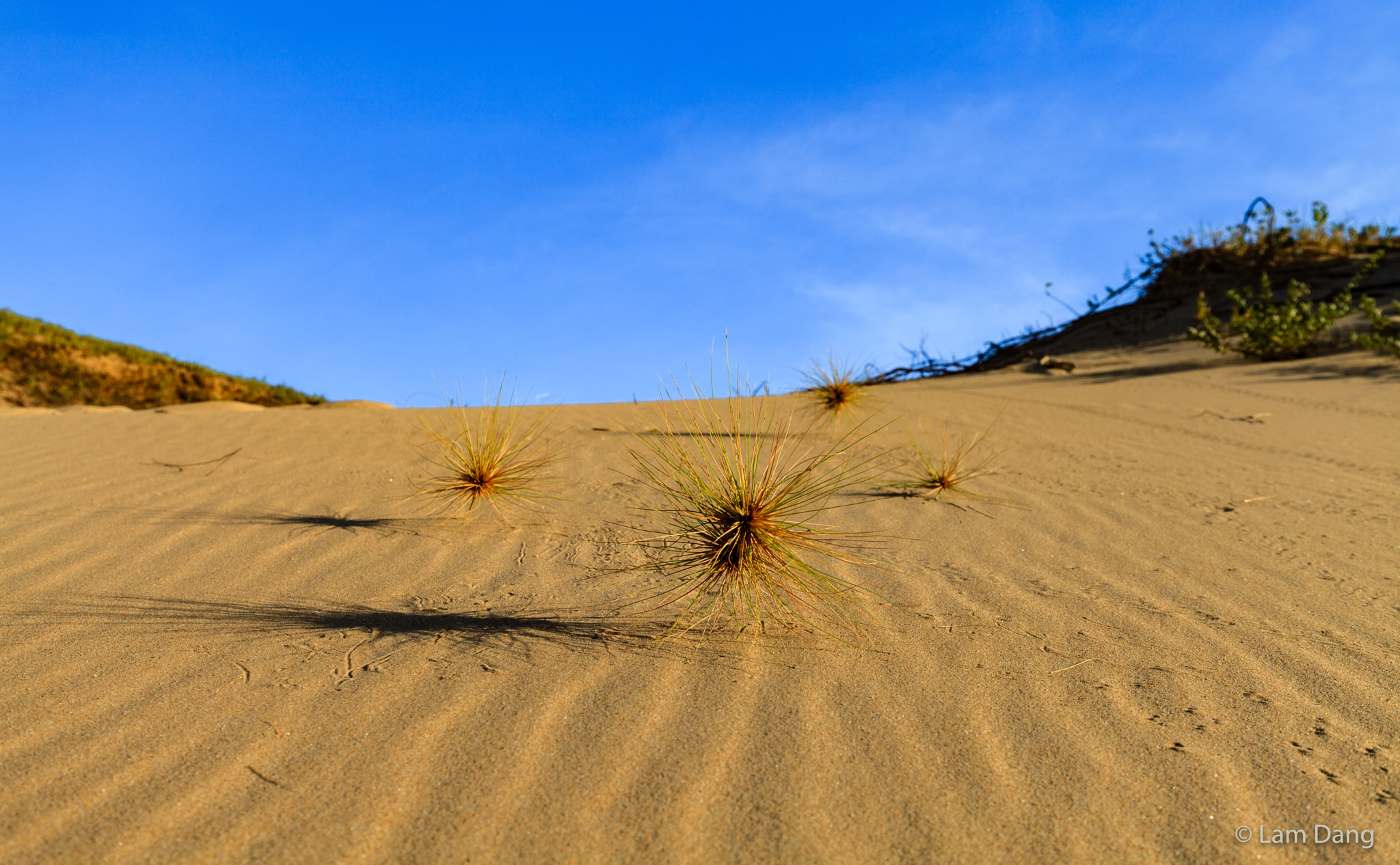 Canon EF 16-35mm F4L IS USM sample photo. Img photography