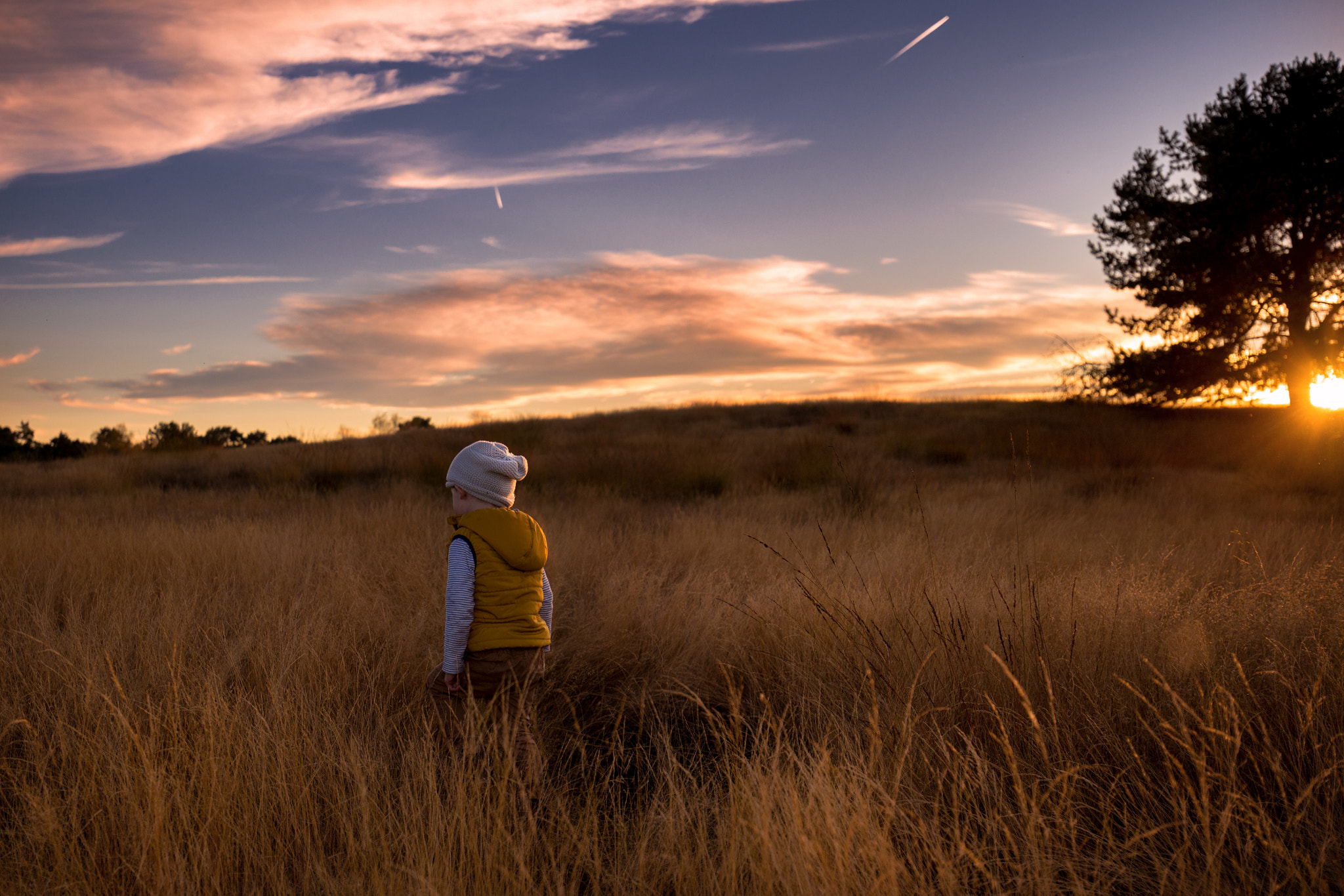 Canon EOS 6D + Canon EF 16-35mm F4L IS USM sample photo. Blowing in the wind photography