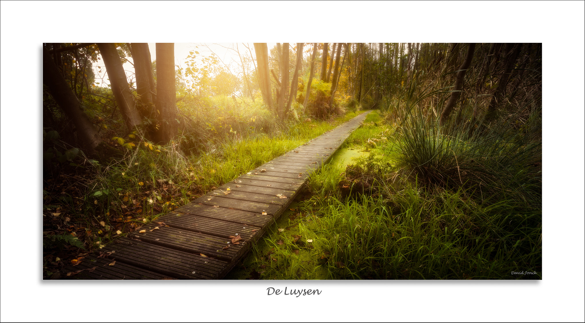 Nikon D750 + Nikon PC-E Nikkor 24mm F3.5D ED Tilt-Shift sample photo. De luysen - misty sunset photography