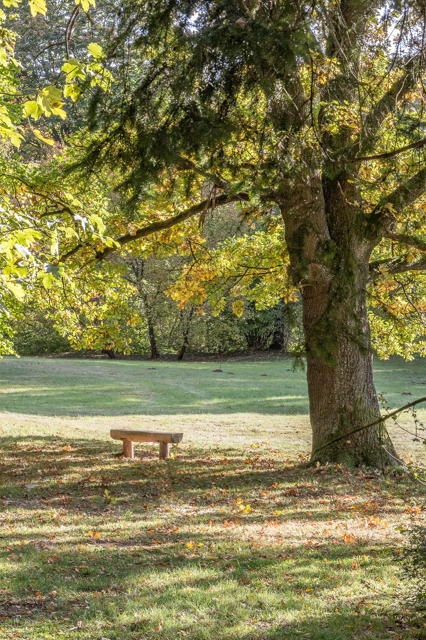 Canon EOS 100D (EOS Rebel SL1 / EOS Kiss X7) sample photo. Autumn mood photography